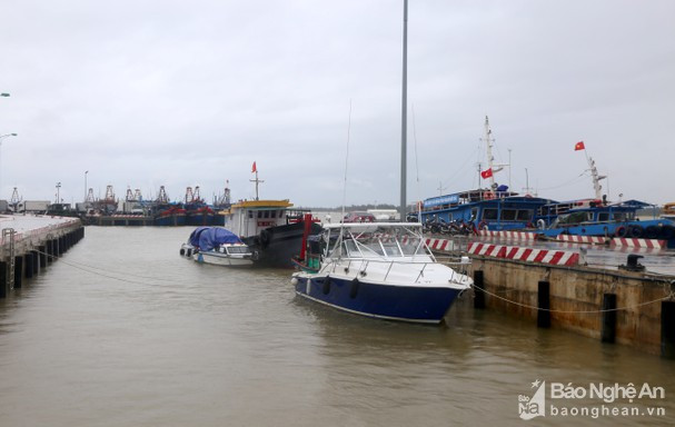 Tàu thuyền neo đậu tránh trú bão tại cảng cá Cửa Hội. Ảnh tư liệu Thu Huyền
