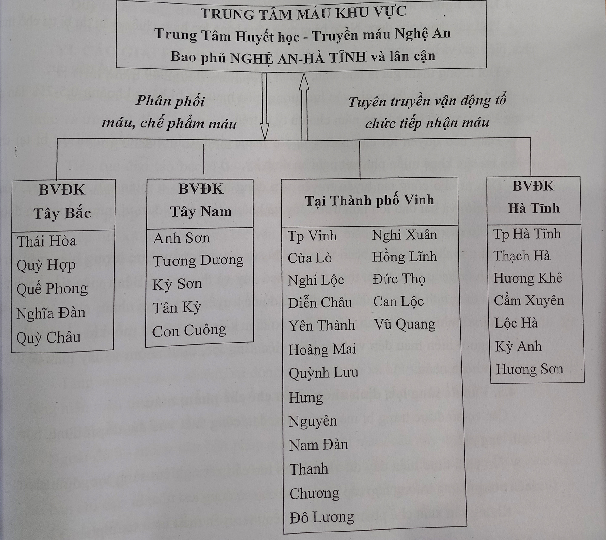 Dự kiến mạng lưới tiếp nhận máu ở 2 tỉnh Nghệ An - Hà Tĩnh. Ảnh: Thành Chung