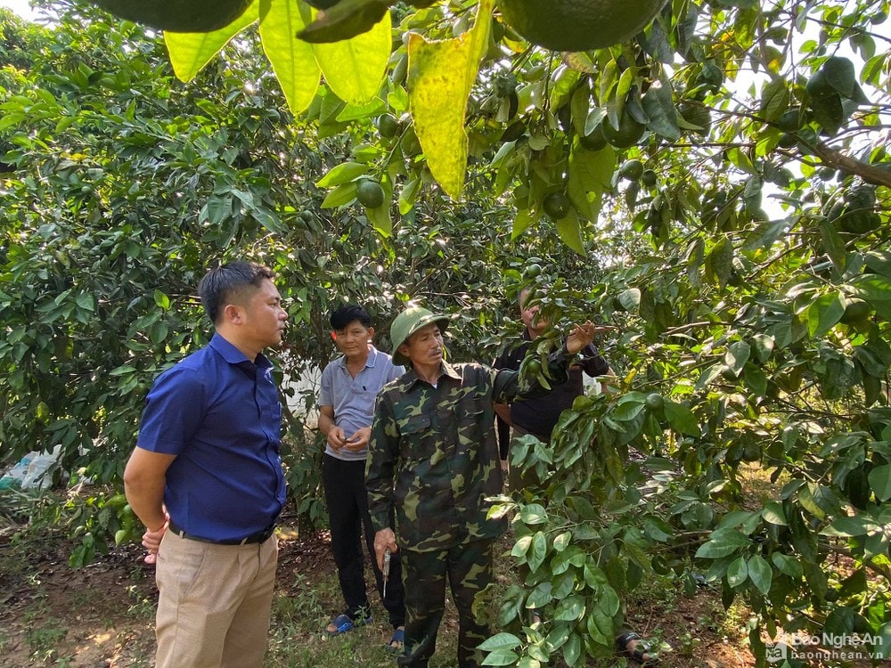 Ảnh tư liệu: Minh Thái