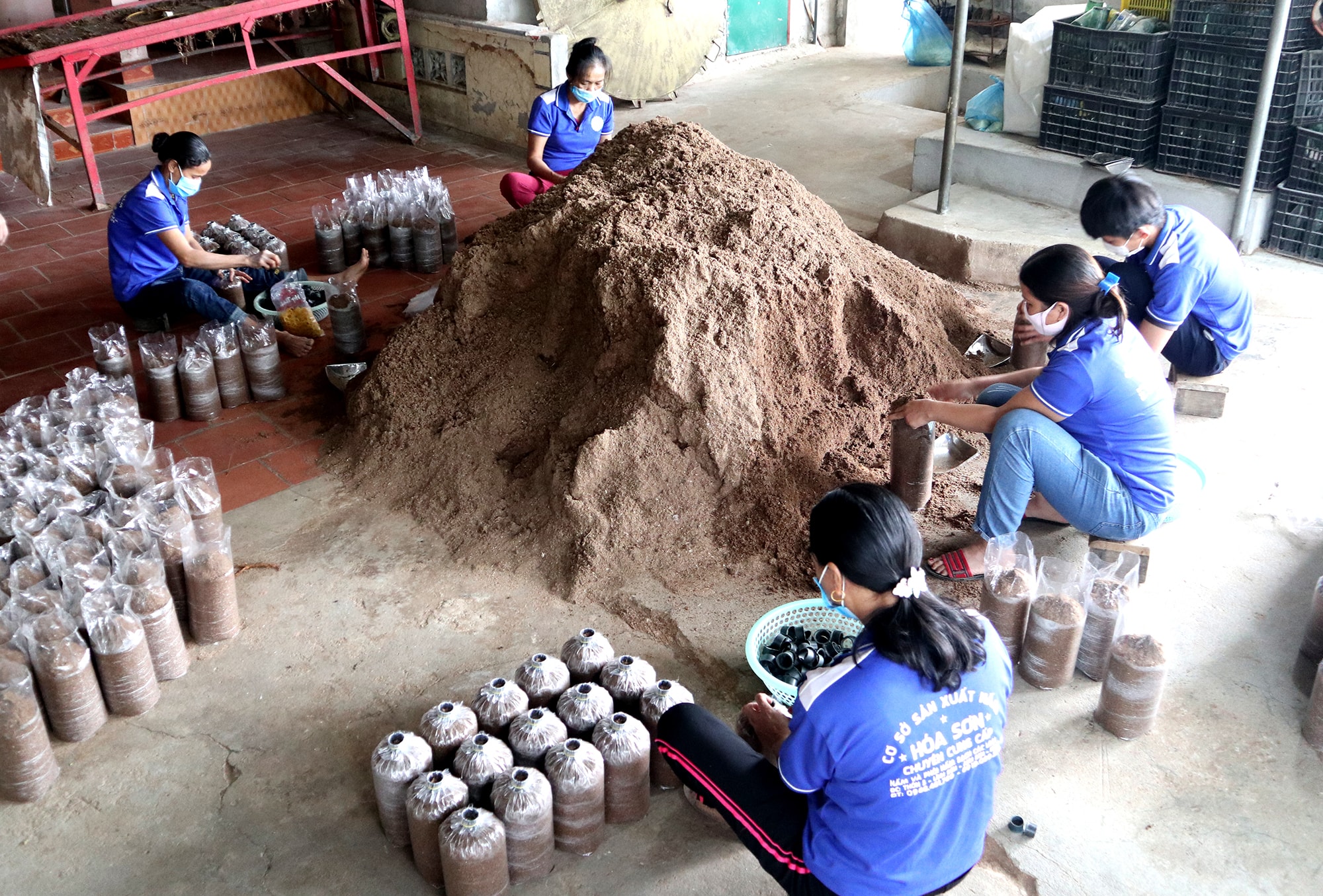 Ngoài duy trì nhịp độ sản xuất thường ngày, xưởng nấm này phải thuê thêm nhân công để làm hàng Tết. Ảnh: Thanh Phúc