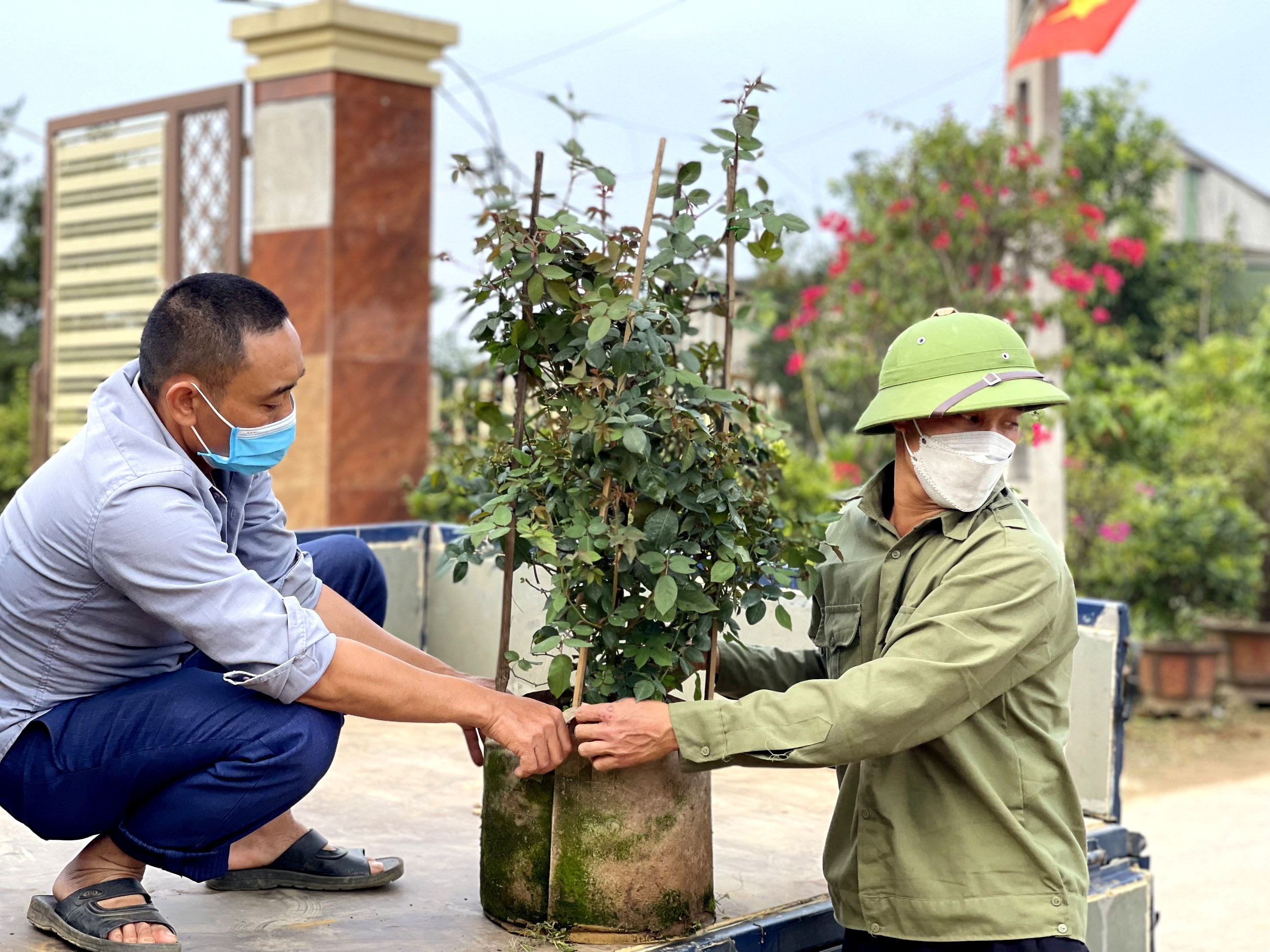 Nhu cầu mua hoa cây cảnh tăng cao nên các lao động làng nghề hoa cây cảnh Kim Chi (Nghi Ân, TP.Vinh) khá nhiều việc. Ảnh: Thanh Phúc