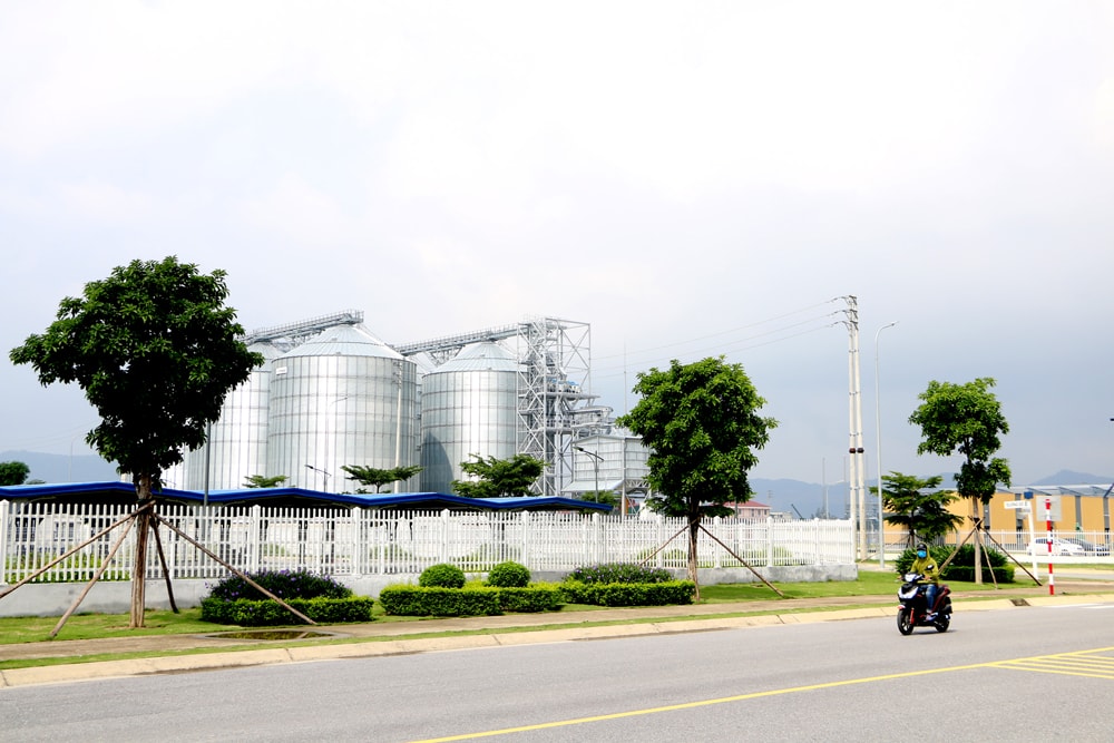 Dự án sản xuất viên nén sinh khối từ gỗ rừng trồng của Công ty Biomass Fuel Việt Nam tại KCN V.Shipj Hưng Nguyên có trị giá 70 triệu USD. Ảnh Nguyễn Hải