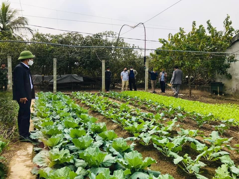 Vườn chuẩn chuyên trồng rau sạch hàng hóa xã Kỳ Sơn. Ảnh Cẩm Tú