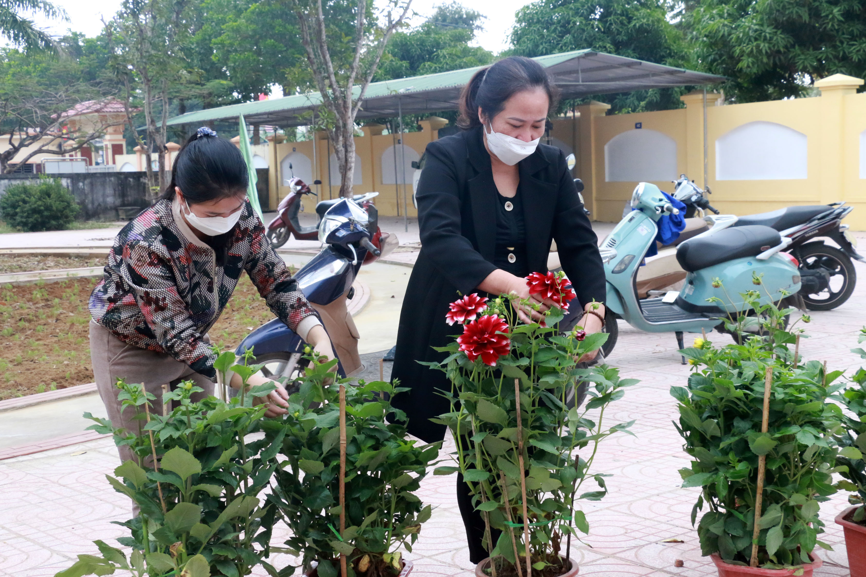 Đây là một năm học đặc biệt, bởi dù đã học sinh đã học được 4 tháng và chuẩn bị thi học kỳ I nhưng ngày mai học sinh tiểu học và học sinh khối 6,7,8 của thành phố Vinh mới đến trường. Được gặp lại học trò là niềm vui của tất cả các thầy cô giáo và mỗi giáo viên cố gắng chuẩn bị đầy đủ nhất để đón các em trở lại trường. Ảnh: MH