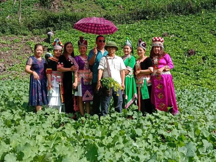 Mô hình rau sạch của phụ nữ bản Mông Huồi Viêng thu hút nhiều cơ quan, đơn vị, địa phương đến tham quan, học tập. Ảnh CSCC