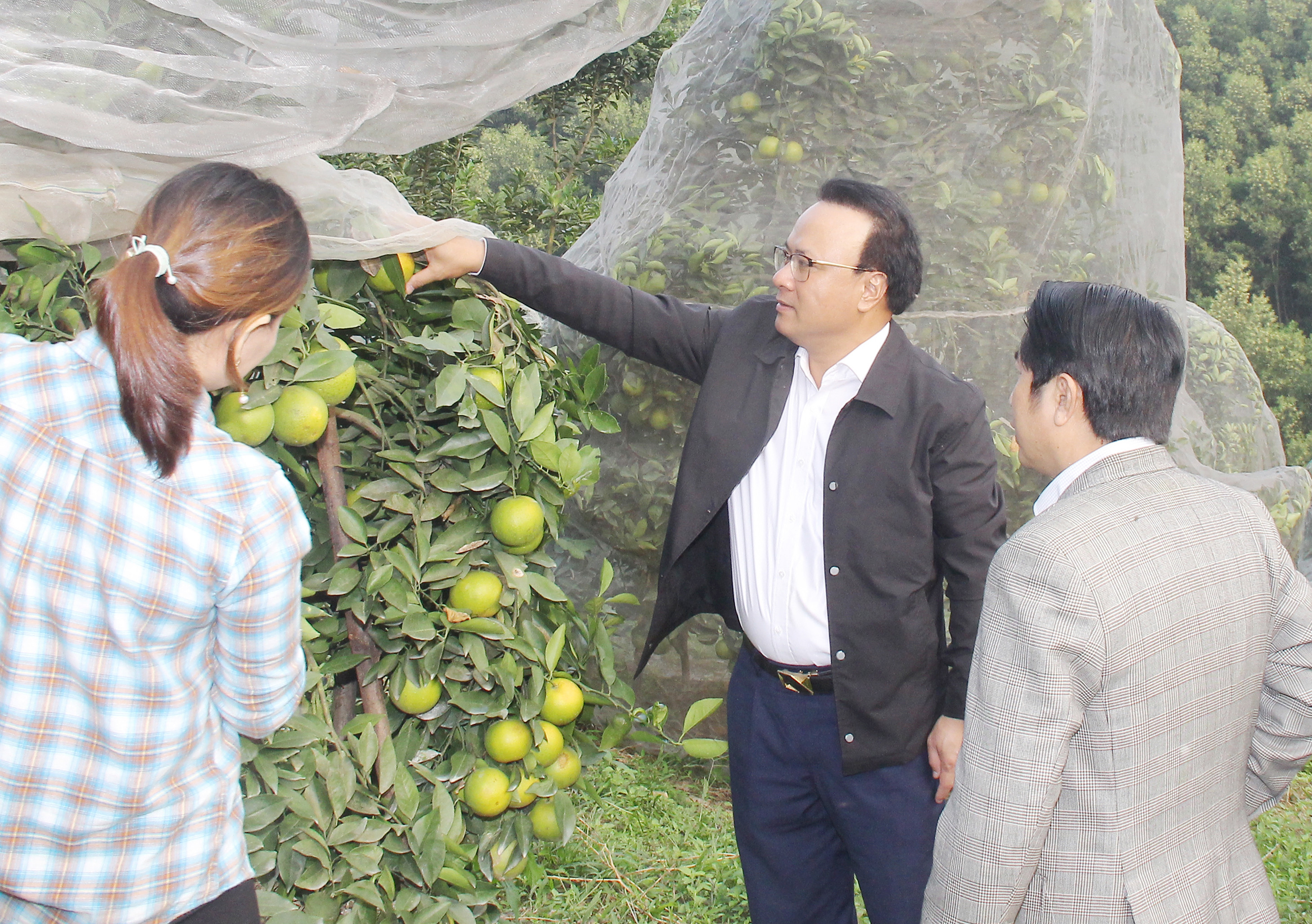 Đồng chí Nguyễn Nam Đình - Ủy viên Ban Thường vụ Tỉnh ủy, Phó Chủ tịch Thường trực HĐND tỉnh tìm hiểu áp phủ màn tại huyện Thanh Chương