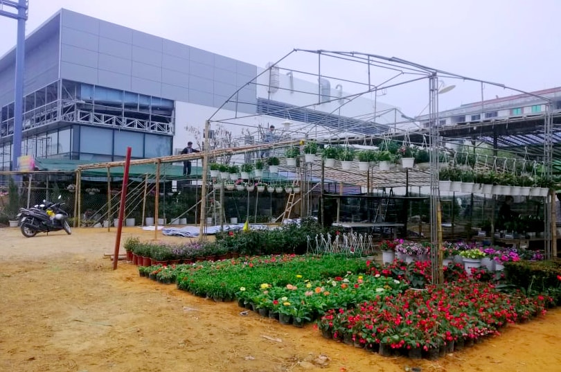 Các vị trí bán hoa, cây cảnh Tết trên địa bàn TP.Vinh hiện đã được các chủ vườn thuê. Ảnh: Q.A