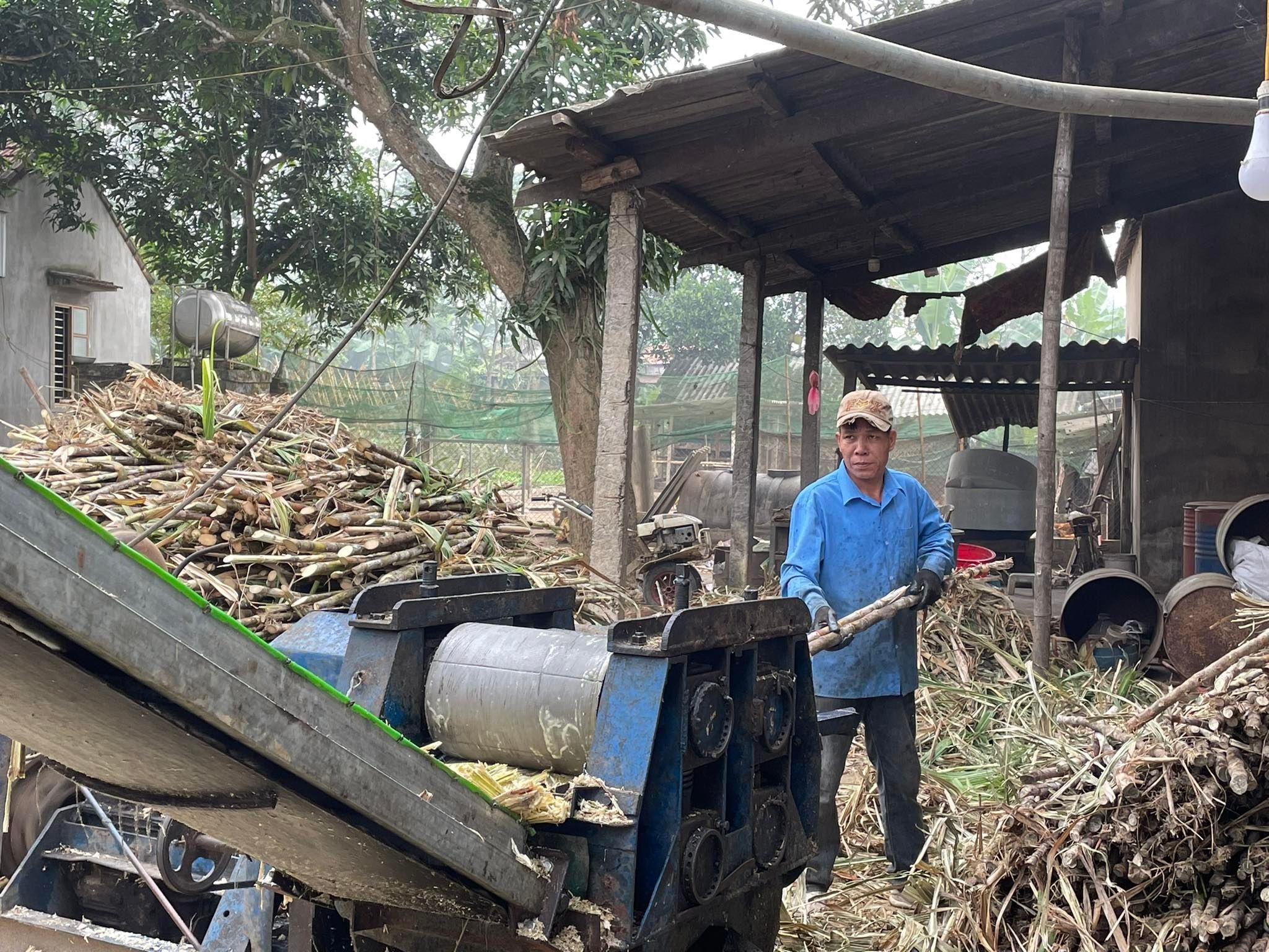 Thay vì phải dùng trâu bò để ép mía như ngày xưa, hiện tại người dân đã sử dụng máy móc để ép mía. Ảnh: Minh Thái