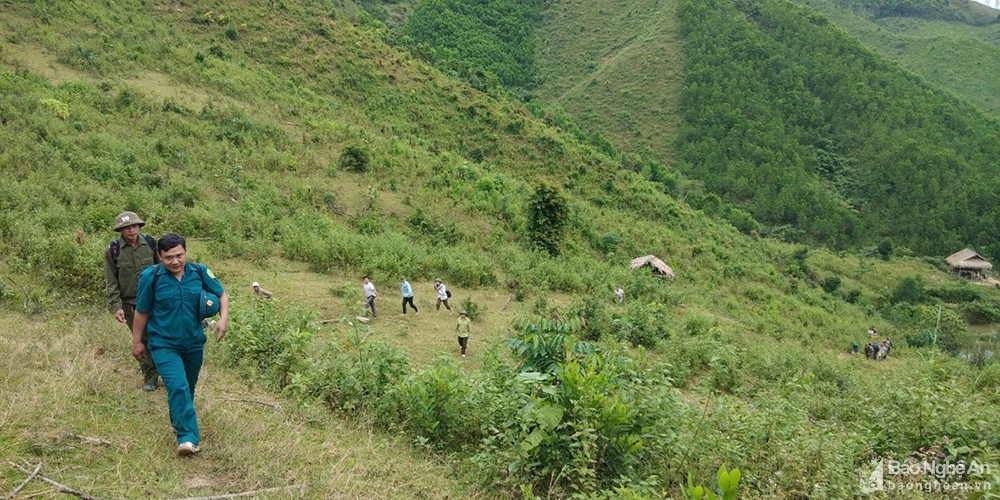 Sở Tài nguyên và Môi trường tập trung xây dựng phương án phân bổ và khoanh vùng đất đai cấp tỉnh trong Quy hoạch tỉnh Nghệ An. Ảnh tư liệu: Mai Hoa