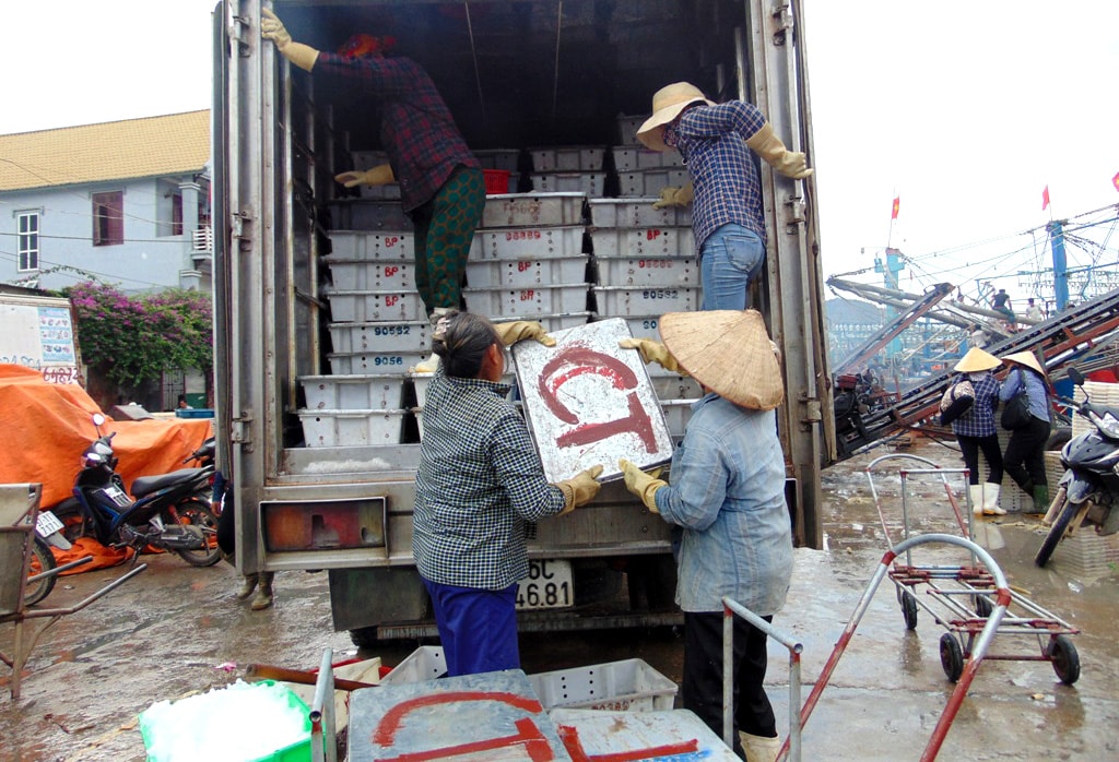 Mặc dù tình hình khai thác cuối năm gặp nhiều khó khăn do thời tiết bất lợi, sản lượng không cao nhưng bù lại các loại hải sản được giá nên bà con ngư dân rất phấn khởi