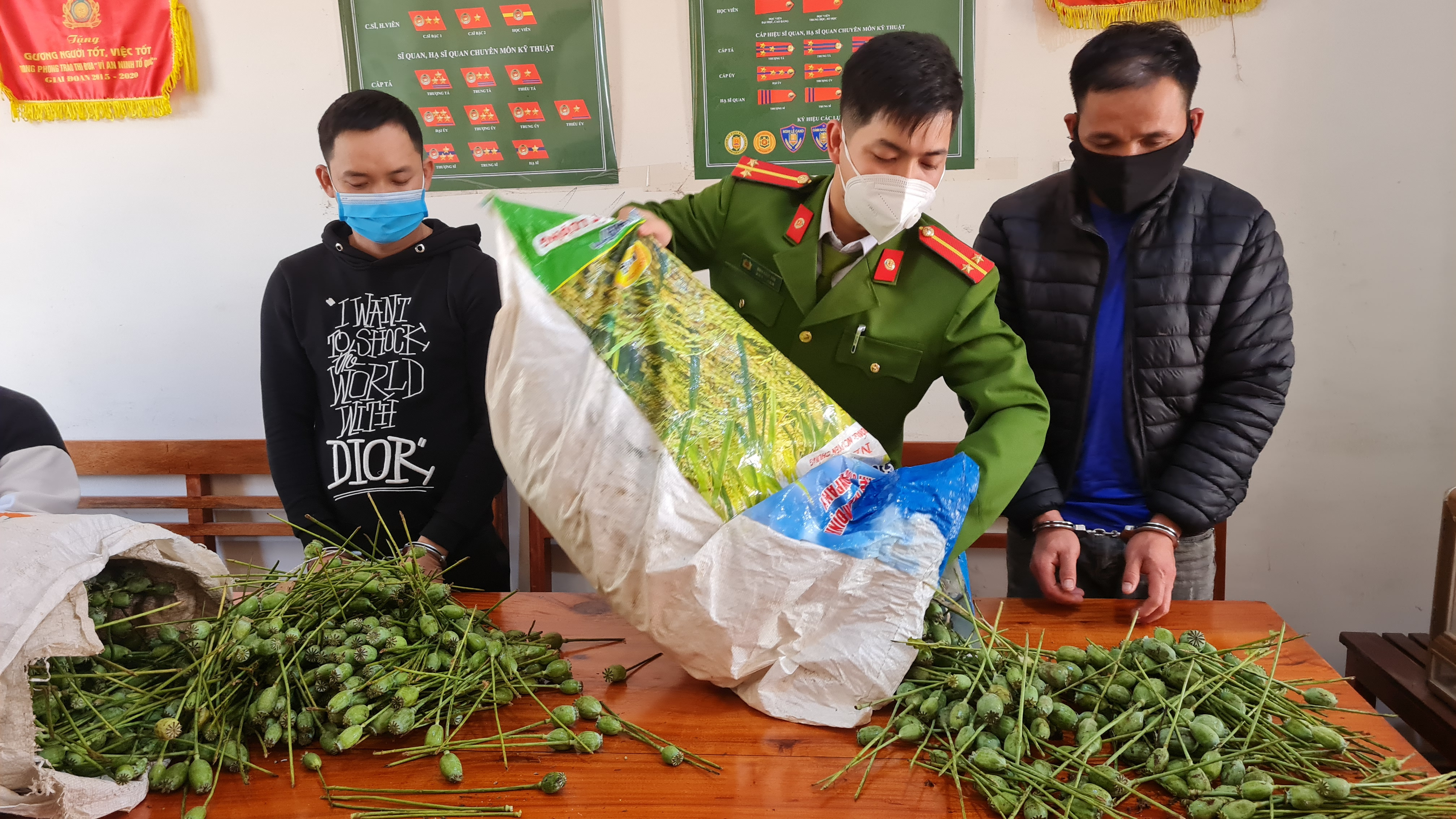 Công an huyện Quỳ Châu bắt giữ 2 đối tượng vận chuyển 40kg quả cây thuốc phiện. Ảnh: Hoài Thu