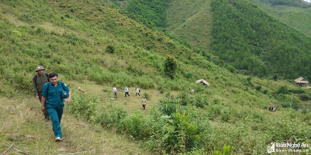 Sở Tài nguyên và Môi trường tập trung xây dựng phương án phân bổ và khoanh vùng đất đai cấp tỉnh trong Quy hoạch tỉnh Nghệ An. Ảnh tư liệu Mai Hoa.jpegBỏ file này