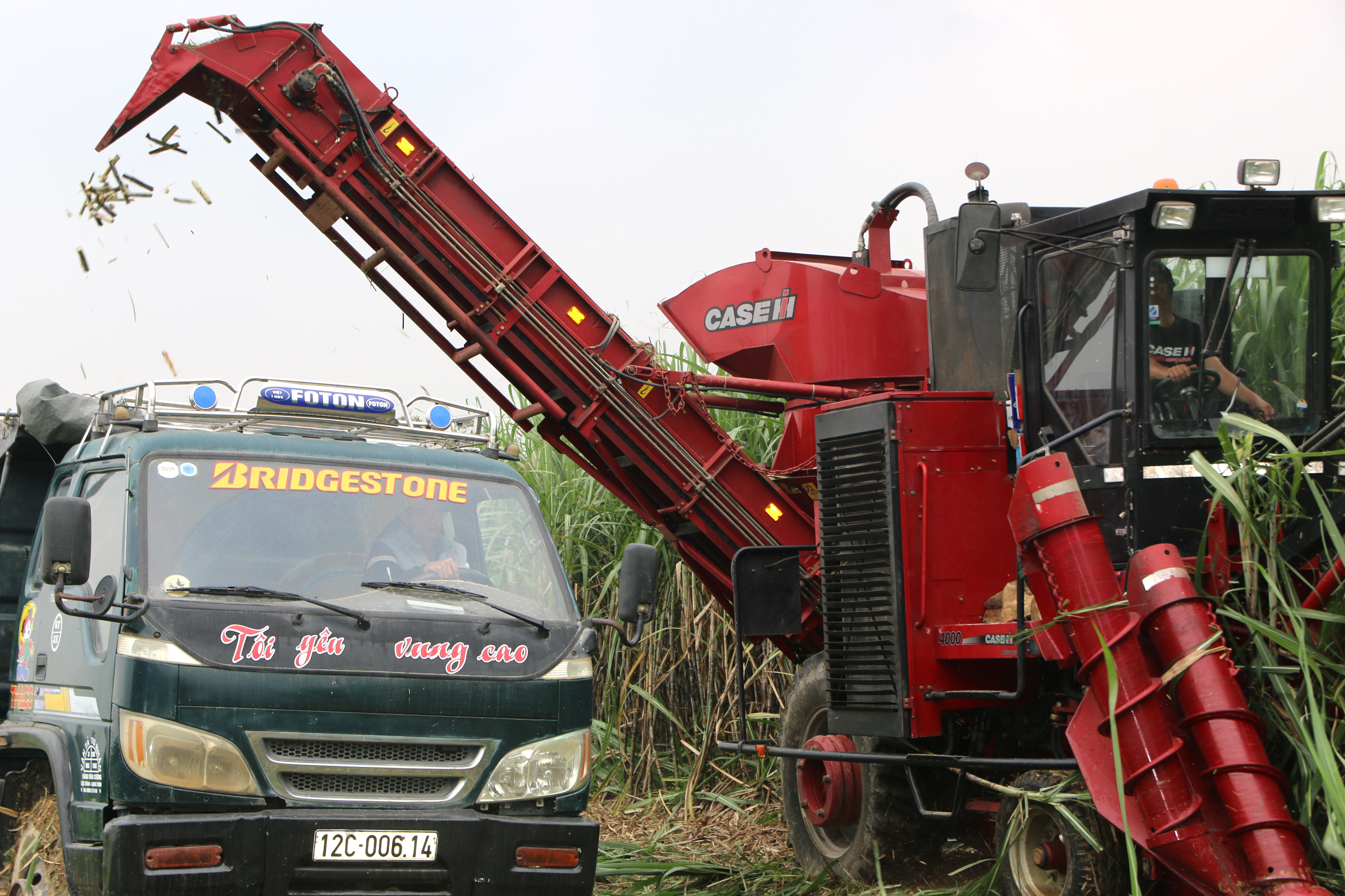 Máy cắt nhỏ cây mía thành khúc nhỏ và làm sạch tạp chất. Ảnh: Cẩm Tú