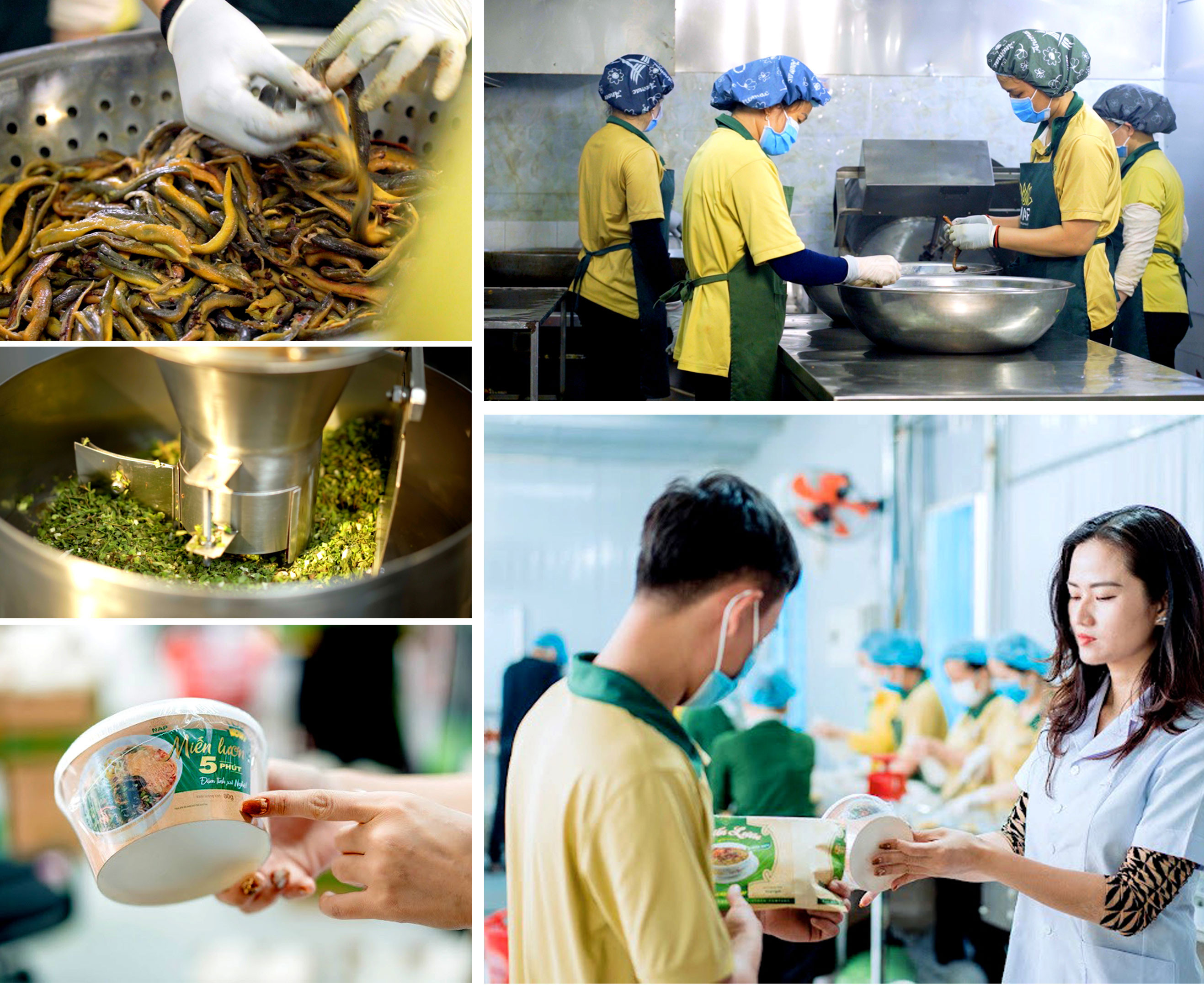 Trần Hà Nhung, cô gái khởi nghiệp từ đặc sản Nghệ An; Để giữ được trọn vị đặc sản lươn trong từng sản phẩm, các công đoạn như chọn nguyên liệu, chế biến, đóng gói đều cần sự chỉn chu, công phu.