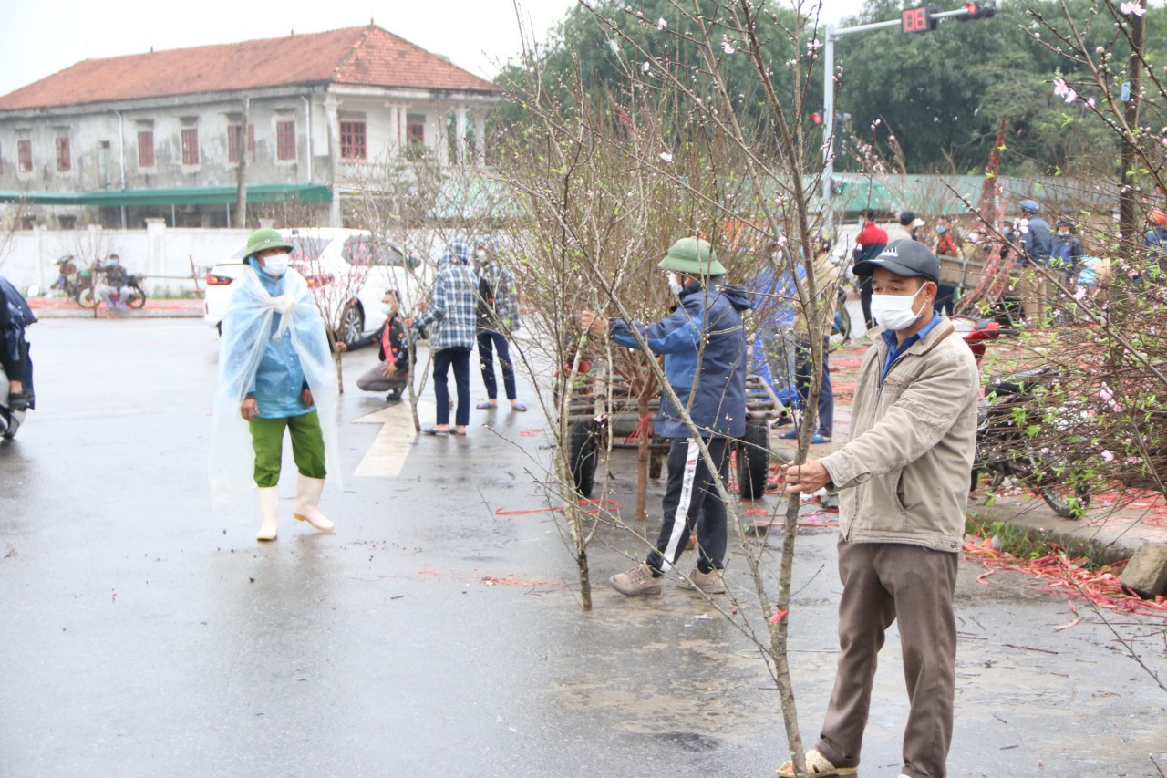 Năm nay đào, quất được tập trung nhiều tại góc đường Trương Vân Lĩnh giao với Đại lộ Vinh - Cửa Lò. Ảnh: Tiến Đông 