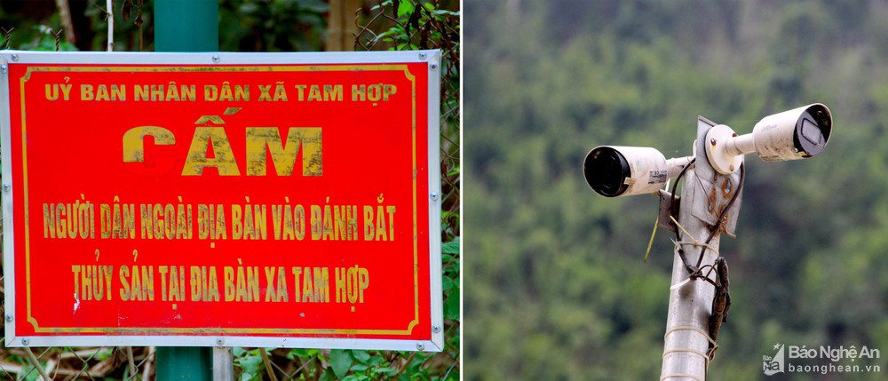 Xã Tam Hợp còn lắp 6 camera để bảo vệ đàn cá mát. Ảnh: TH