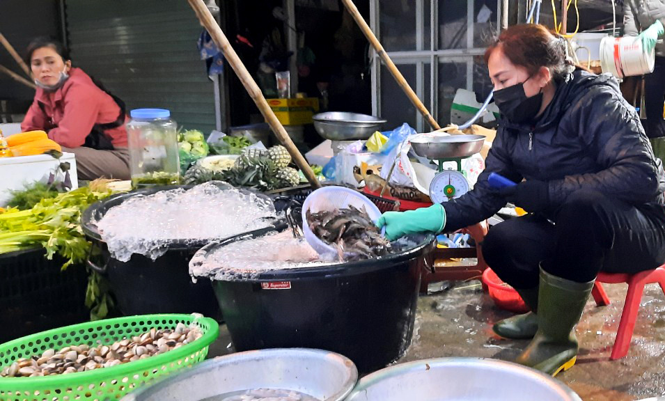 Nhiều mặt hàng hải sản cũng đội giá cao, tôm thẻ chân trắng có giá 270.000 đồng -300.000 đồng/kg. Ảnh: Thanh Phúc