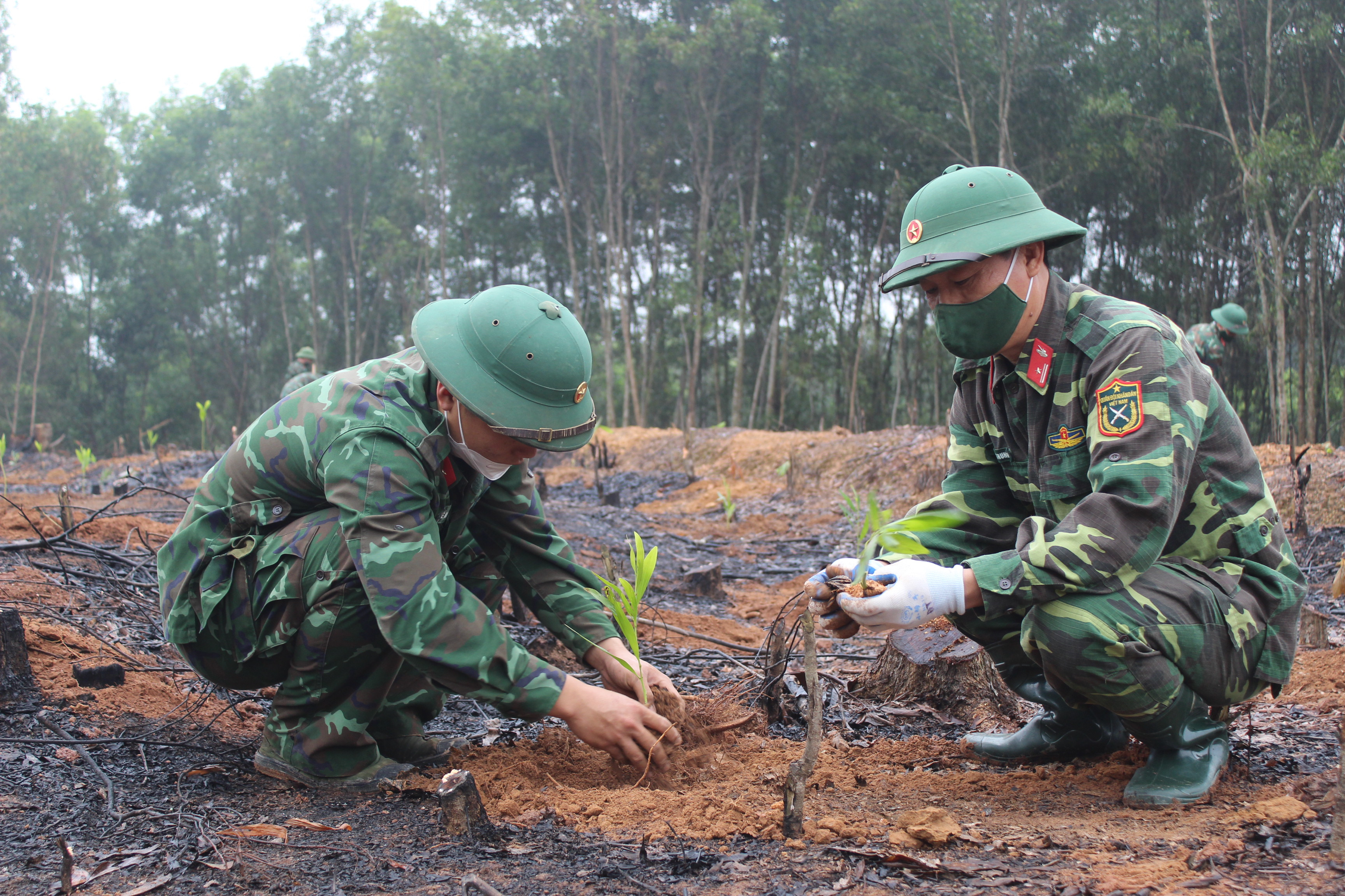 án bộ, chiến sĩ Lữ đoàn phối hợp với nhân dân 2 xã Quỳnh Châu và Quỳnh Tam trồng cây ở các khu vực Trường bắn, Bãi lái, Bãi chiến thuật thuộc địa phận 2 xã Quỳnh Châu và Quỳnh Tam