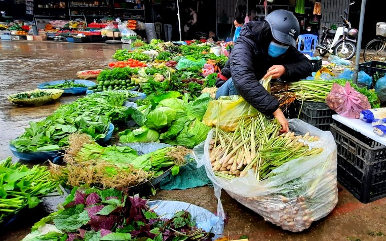 Hiện giá sả tại các chợ dân sinh đã tăng thêm 7.000 đồng - 12.000 đồng/kg (tùy loại). Ảnh: Thanh Phúc