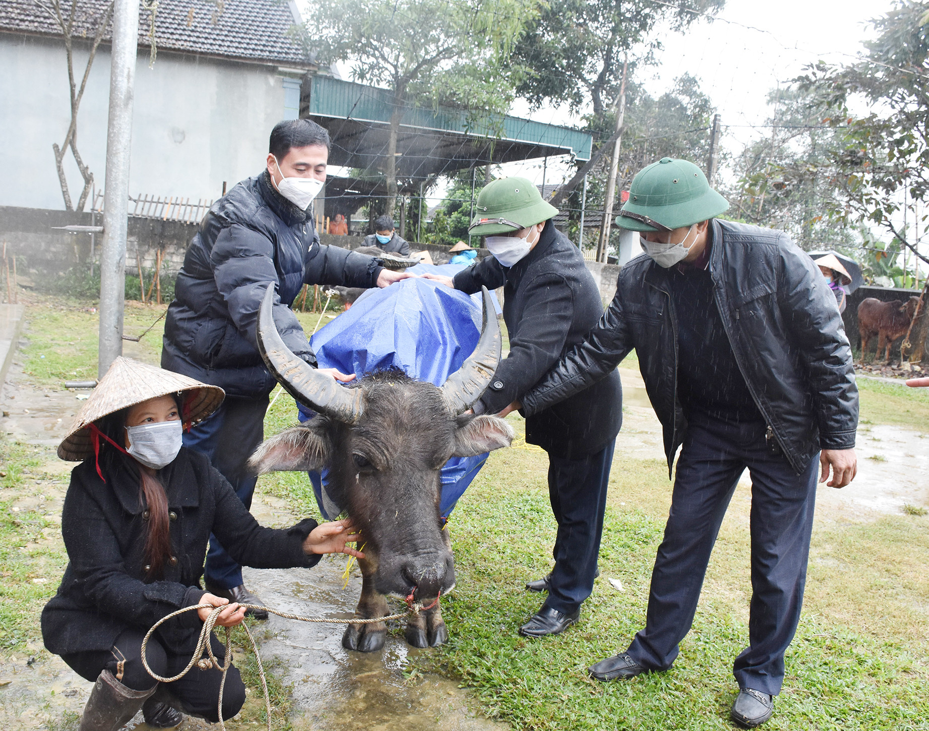 Lãnh đạo Hội Nông dân và huyện Con Cuông hướng dẫn người dân mặc áo ấm cho vật nuôi. Ảnh: Thanh Lê