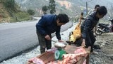 Người dân xót xa nhìn trâu chết rét, xẻ thịt bán dọc quốc lộ
