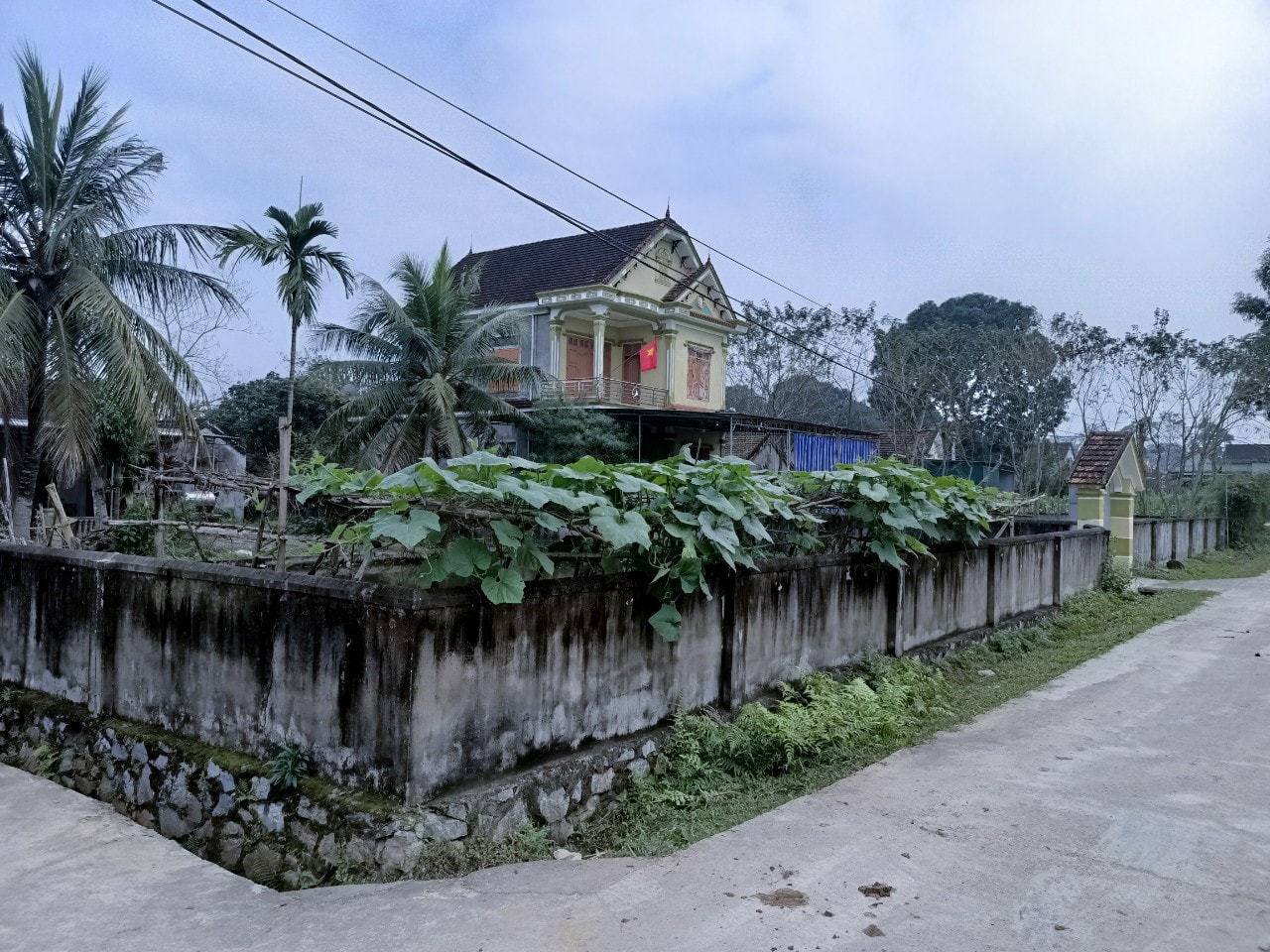 Khu vực đất của Trạm giống chăn nuôi Anh Sơn trước đây nay người dân đã xây dựng nhà cửa khang trang. Ảnh: Tiến Đông 