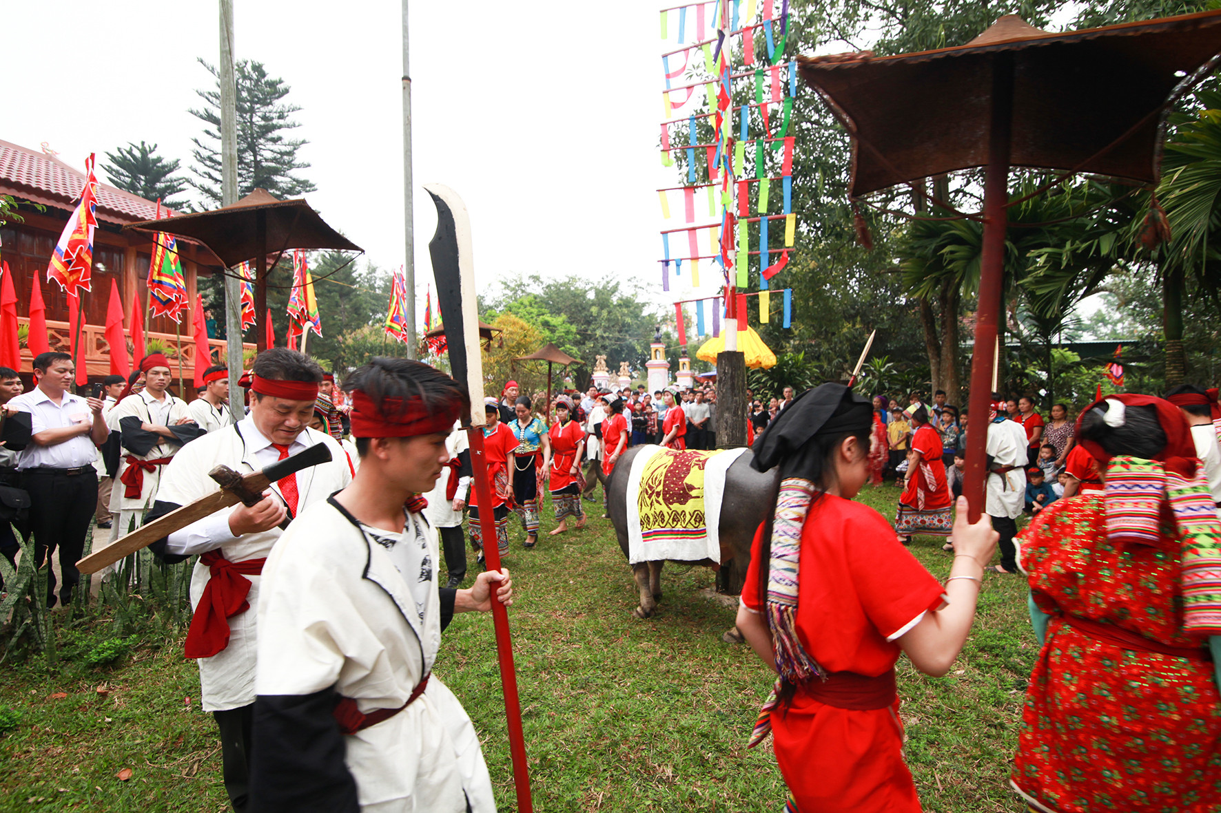 Nghi lễ hiến tế trâu tại Lễ hội đền Chín Gian năm 2017. Ảnh: Sách Nguyễn