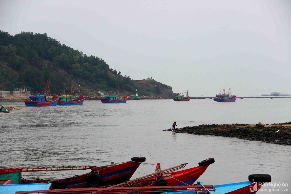 Tàu thuyền ngư dân Nghệ An ra khơi trở lại sau khoảng thời gian dài tạm dừng vì giá xăng dầu tăng cao. Ảnh: Q.A