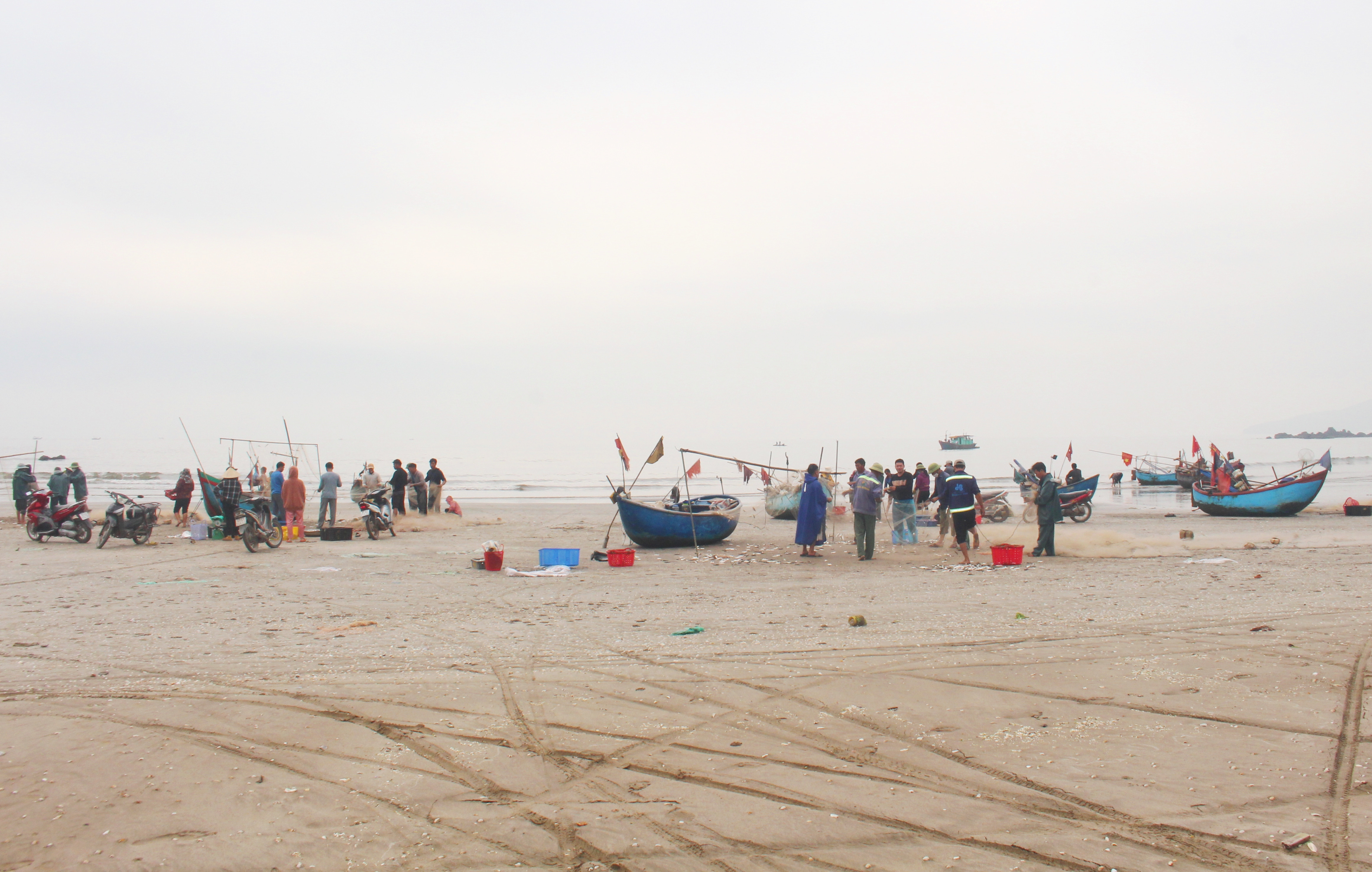 Ngư dân Quỳnh Lưu vào mùa khai thác cá trích. Ảnh VH