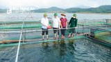 Bí thư Tỉnh ủy Thái Thanh Quý thăm cơ sở nuôi cá lồng trên lòng hồ thủy điện Hủa Na, Quế Phong