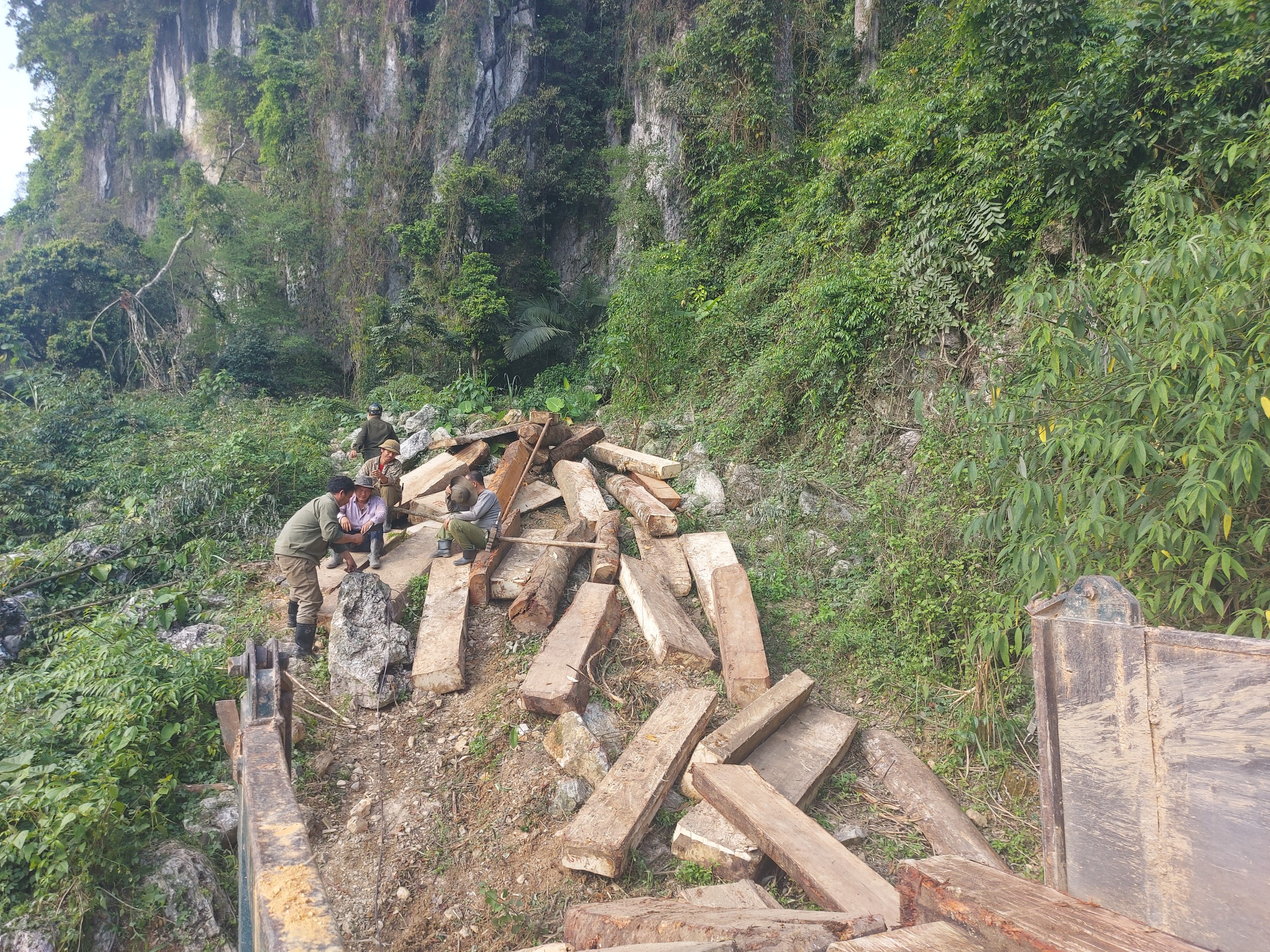 Chi cục kiểm lâm Nghệ An đang yêu cầu báo cáo lại vụ phá rừng này. 