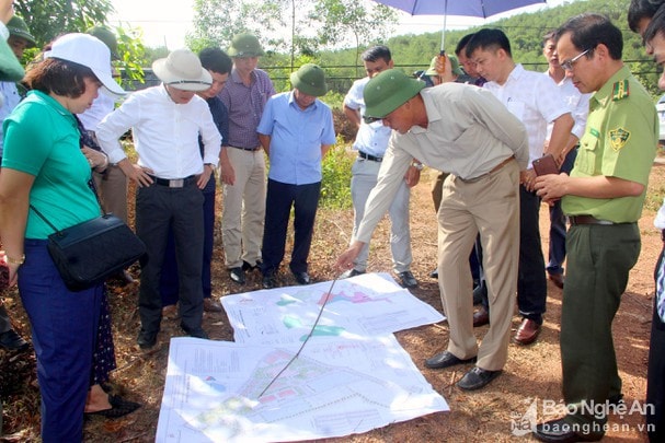 Lãnh đạo tỉnh kiểm tra, khảo sát thực địa trước khi thông qua chủ trương đầu tư Khu lâm nghiệp công nghệ cao tại xã Nghi Lâm, Nghi Lộc. Ảnh Tư liệu