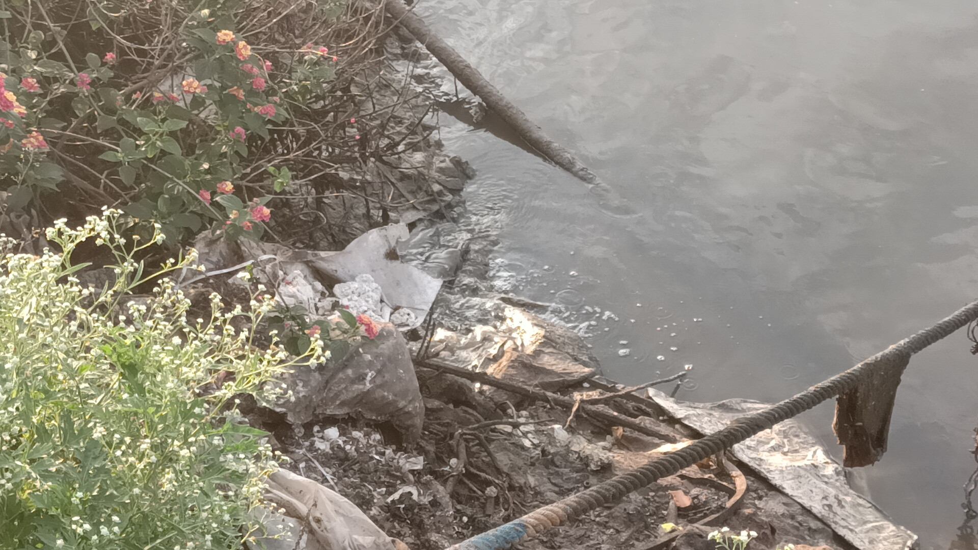 Nước xả phía sau nhà máy chế biến bột cá đổ ra Lạch Quèn (ảnh chụp ngày 22/3/2022). Ảnh: Tiến Đông 