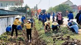 Nhộn nhịp phong trào xây dựng nông thôn mới ở huyện Đô Lương