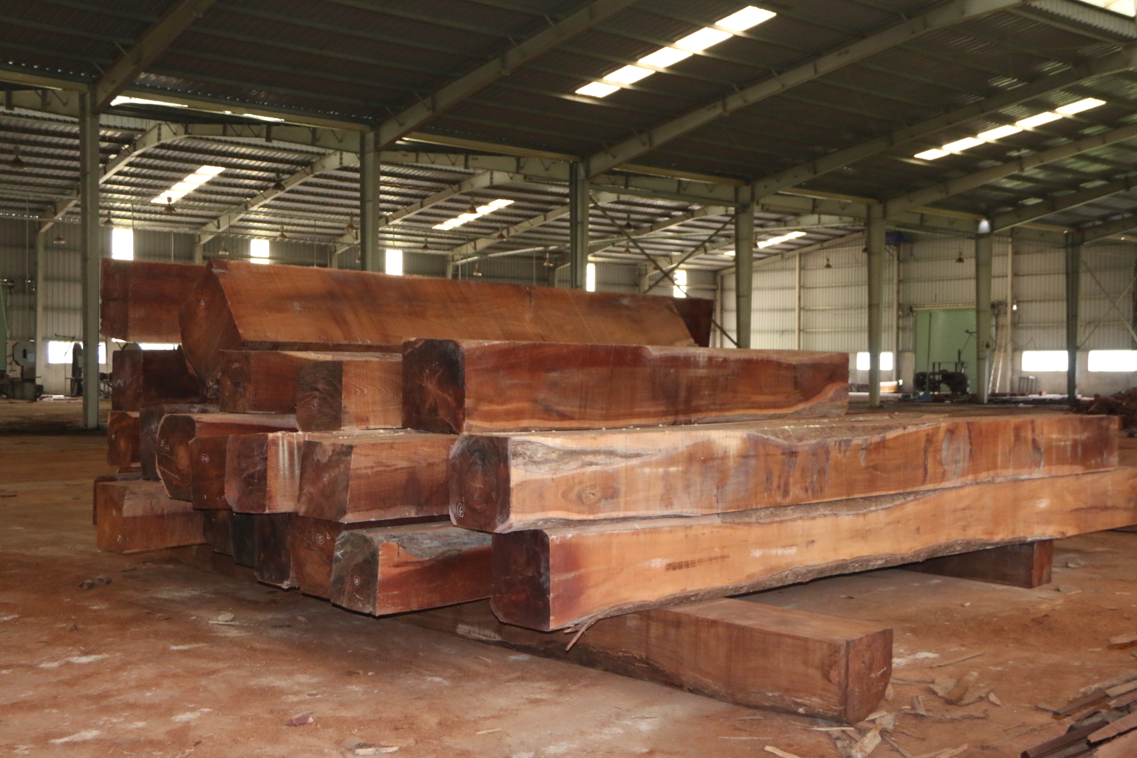 Những khối gỗ lớn có chiều dài khoảng 5m đang được tập kết bên trong nhà xưởng. Ảnh: Tiến Đông 