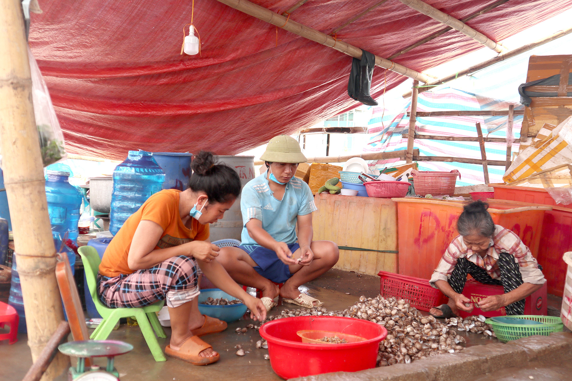 Những ngày cao điểm, vựa hải sản của chị Dung Đệ (Diễn Hải, Diễn Châu) cung ứng ra thị trường 10 tấn sò, vạng, ngao... các loại. Ảnh: Thanh Phúc