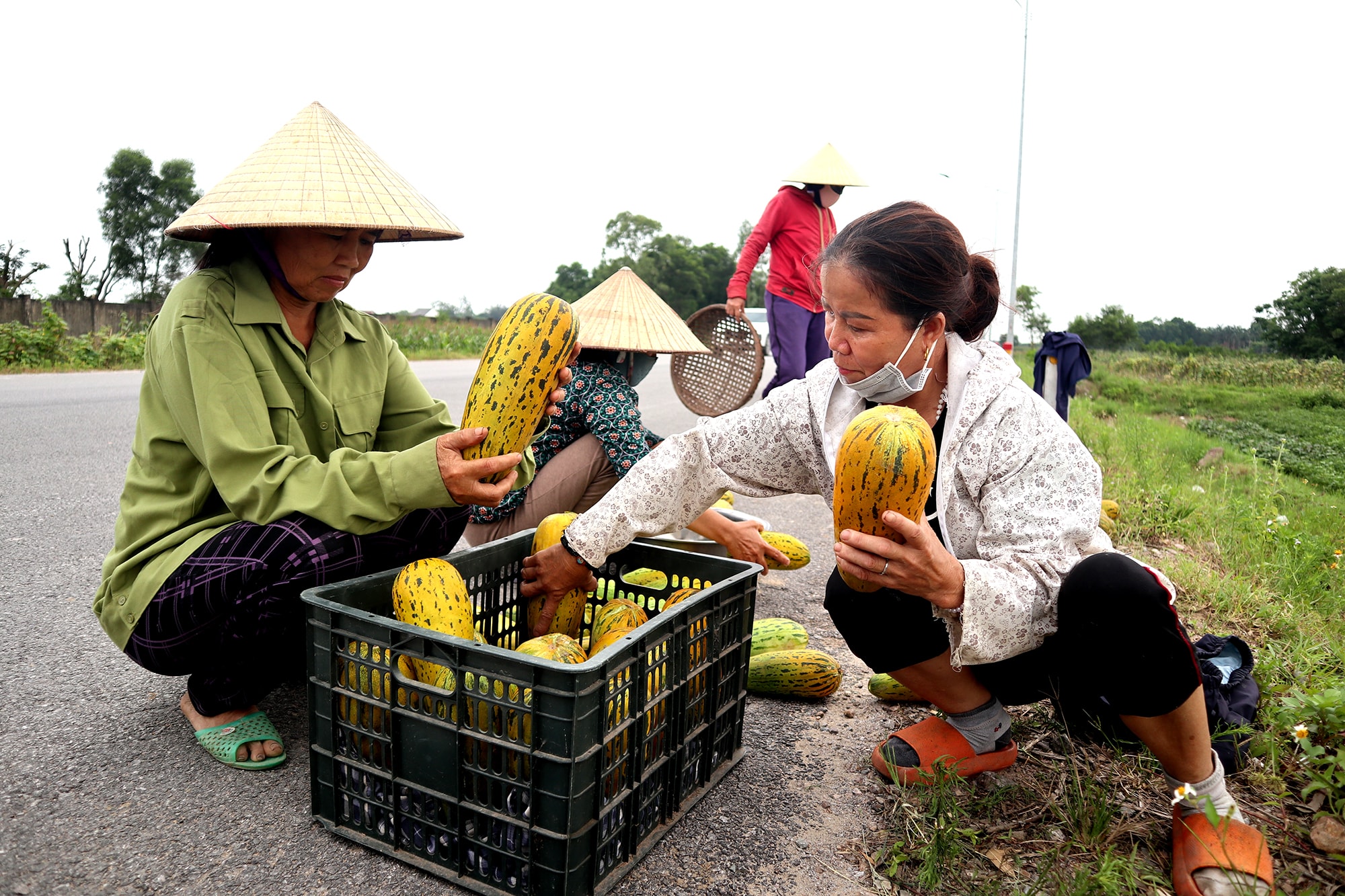 Người dân bày bán dưa dọc đường ven biển. Ảnh: Thanh Phúc