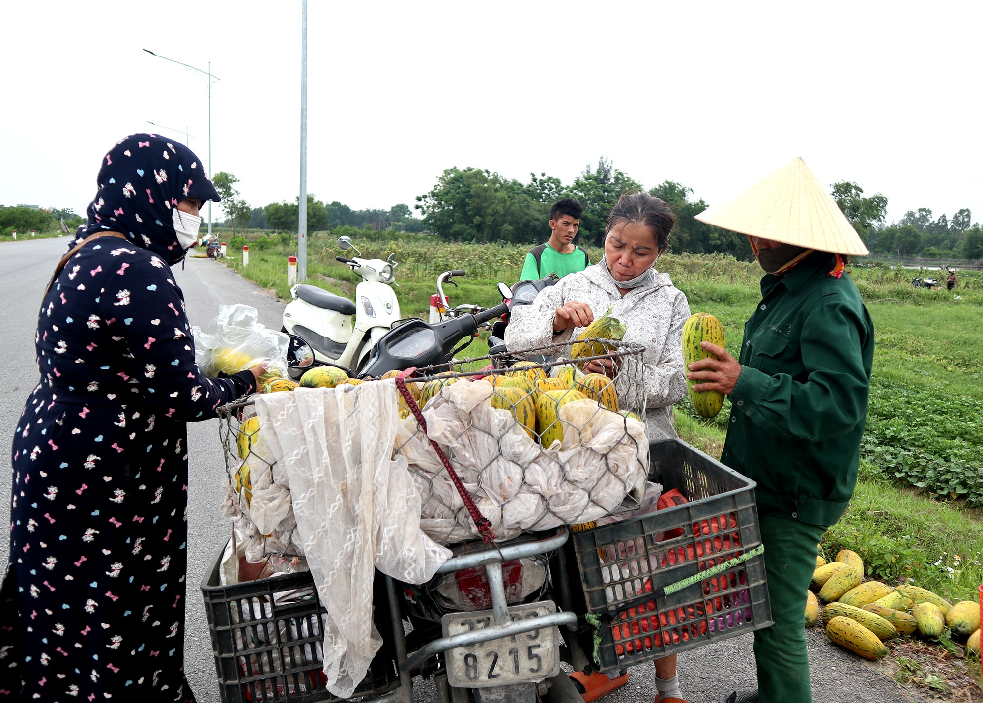 Năm nay, dưa kém năng suất hơn, mẫu mã cũng không đẹp bằng mọi năm nên giá cả thấp thua, người trồng giảm thu nhập. Ảnh: Thanh Phúc