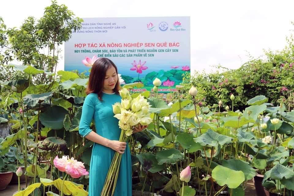 Chụp ảnh cùng hoa sen tại HTX sen Quê Bác, Nam Đàn. Ảnh; fb nhân vật