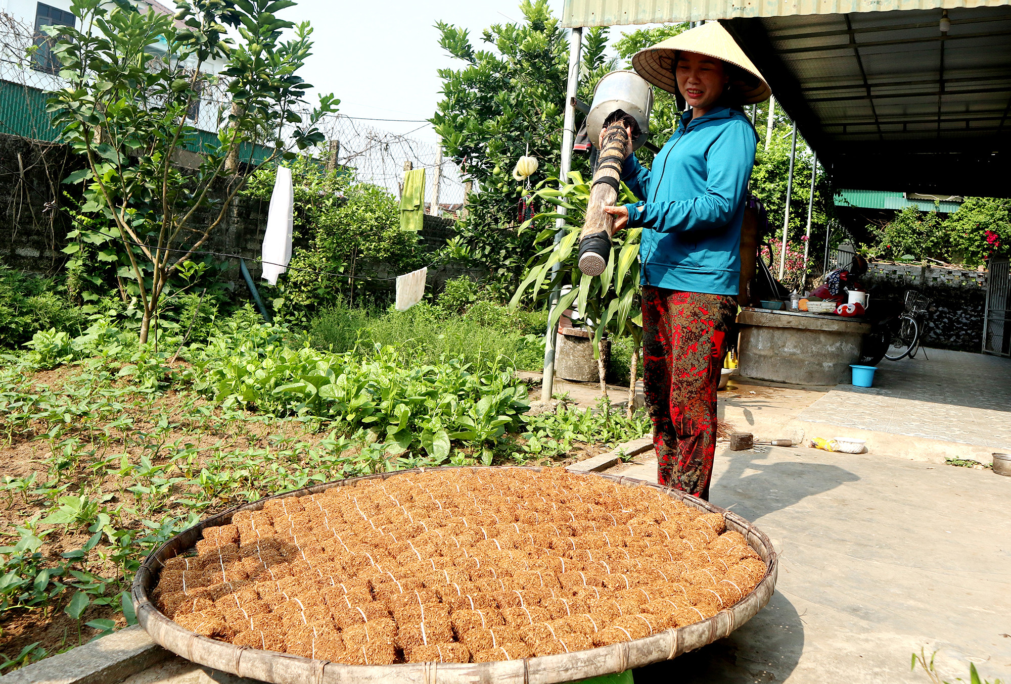 Bí quyết truyền đời của người dân nơi đây là để thuốc thơm, ngọt, không quá hắc, nồng thì sau phơi nắng là dãi sương 3-4 đêm. Đặc biệt, người dân nơi đây còn dùng dung dịch cháo nếp nấu loãng, chắt lấy nước pha với cà phê, bỏ vào dụng cụ chuyên dụng phun đều lên thuốc trong quá trình phơi để các sợi thuốc kết dính với nhau, tăng thêm độ ngọt, thơm cho loại “xì gà” đặc biệt này. Ảnh: Thanh Phúc