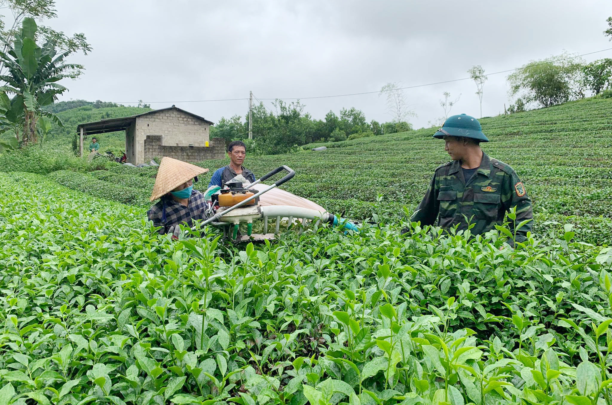 Huyện Thanh Chương tăng cường hỗ trợ khoa học kỹ thật, phát triển kinh tế cho người dân. Ảnh: Mai Hoa