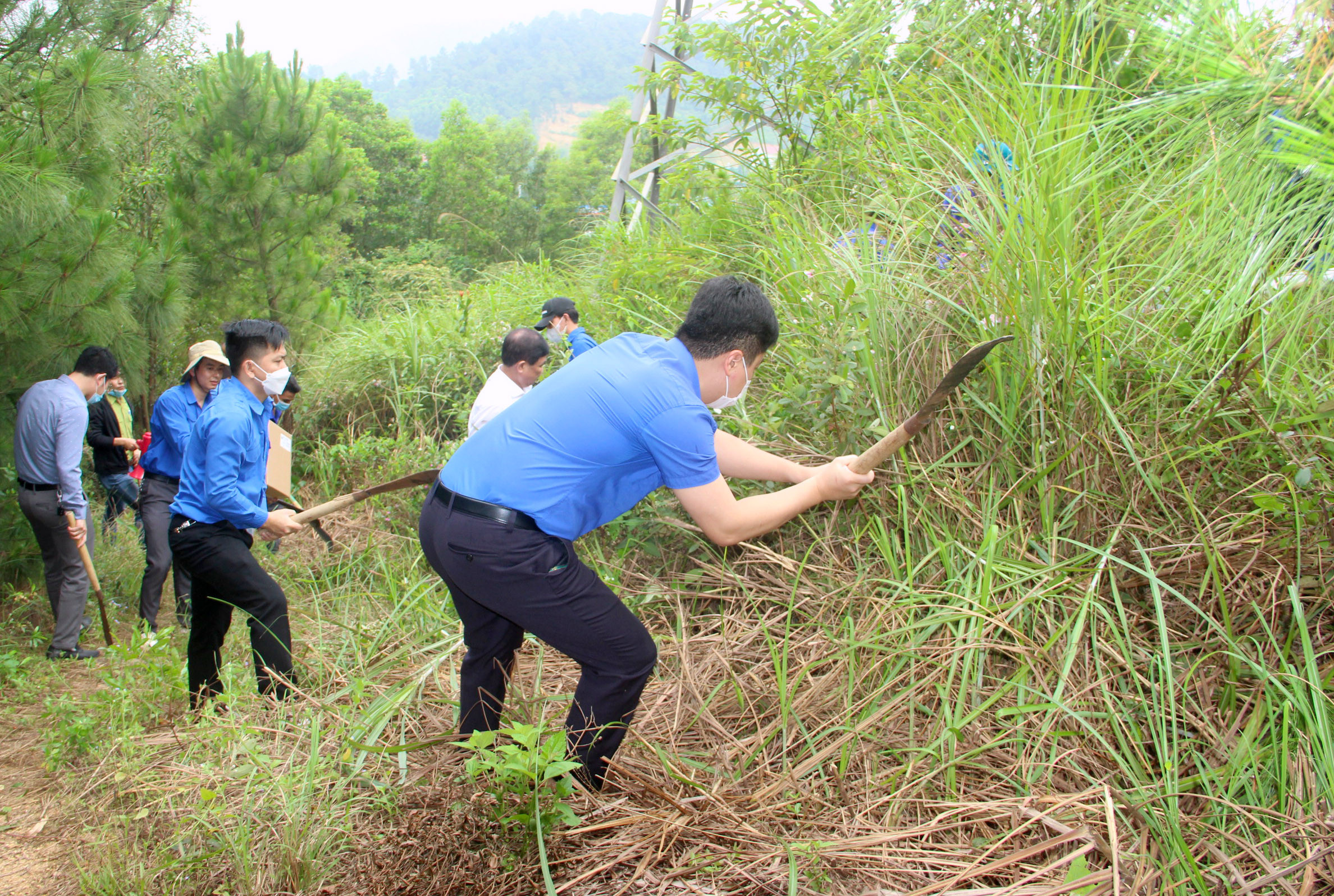 Đoàn viên thanh niên tổ chức phát quang, thu dọn thực bì tại rừng Nghi Lộc. Ảnh: Quang An