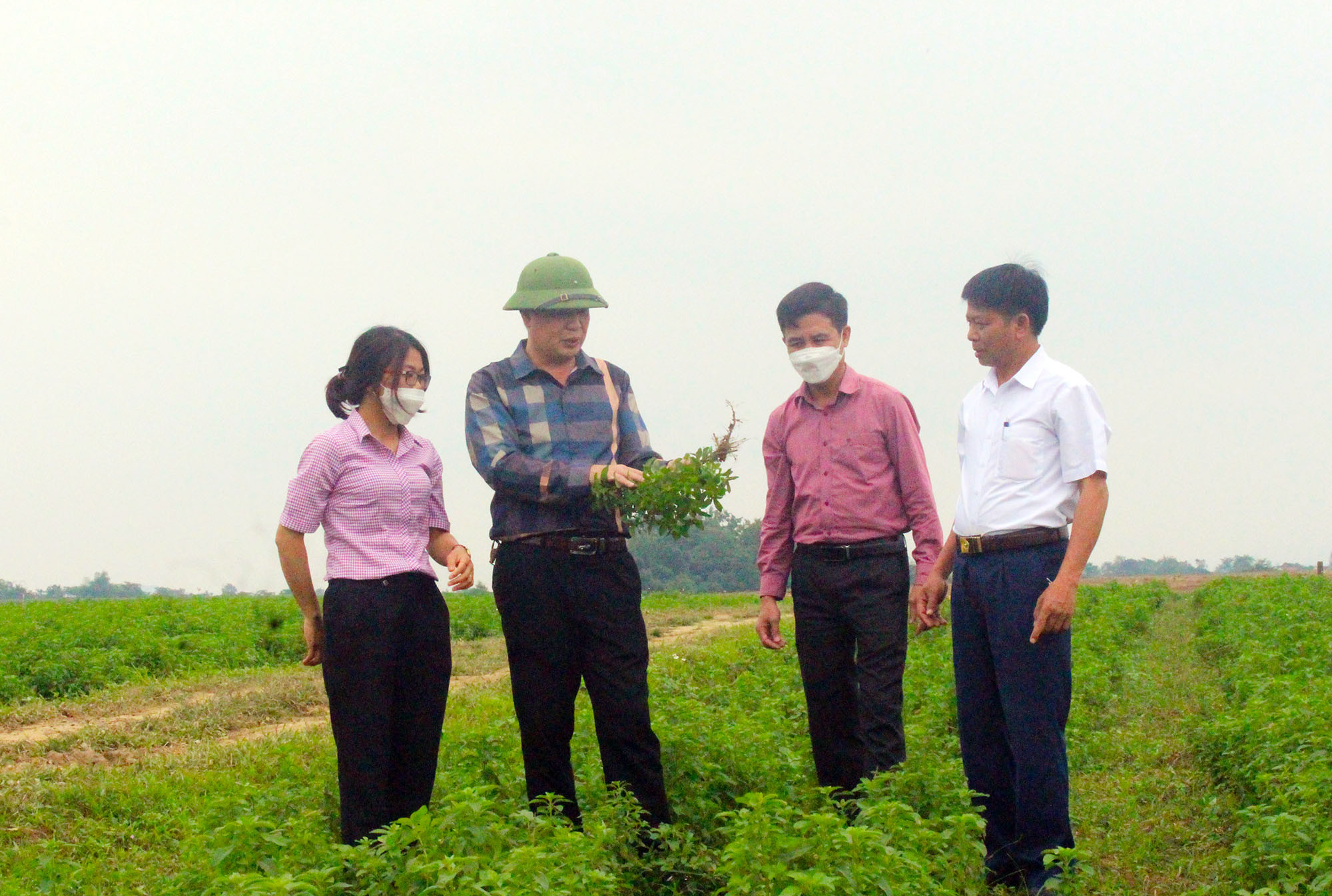 Lãnh đạo huyện Thanh Chương kiểm tra tình hình phát triển vùng trồng dược liệu ở xã Thanh Tiên. Ảnh: Phú Hương