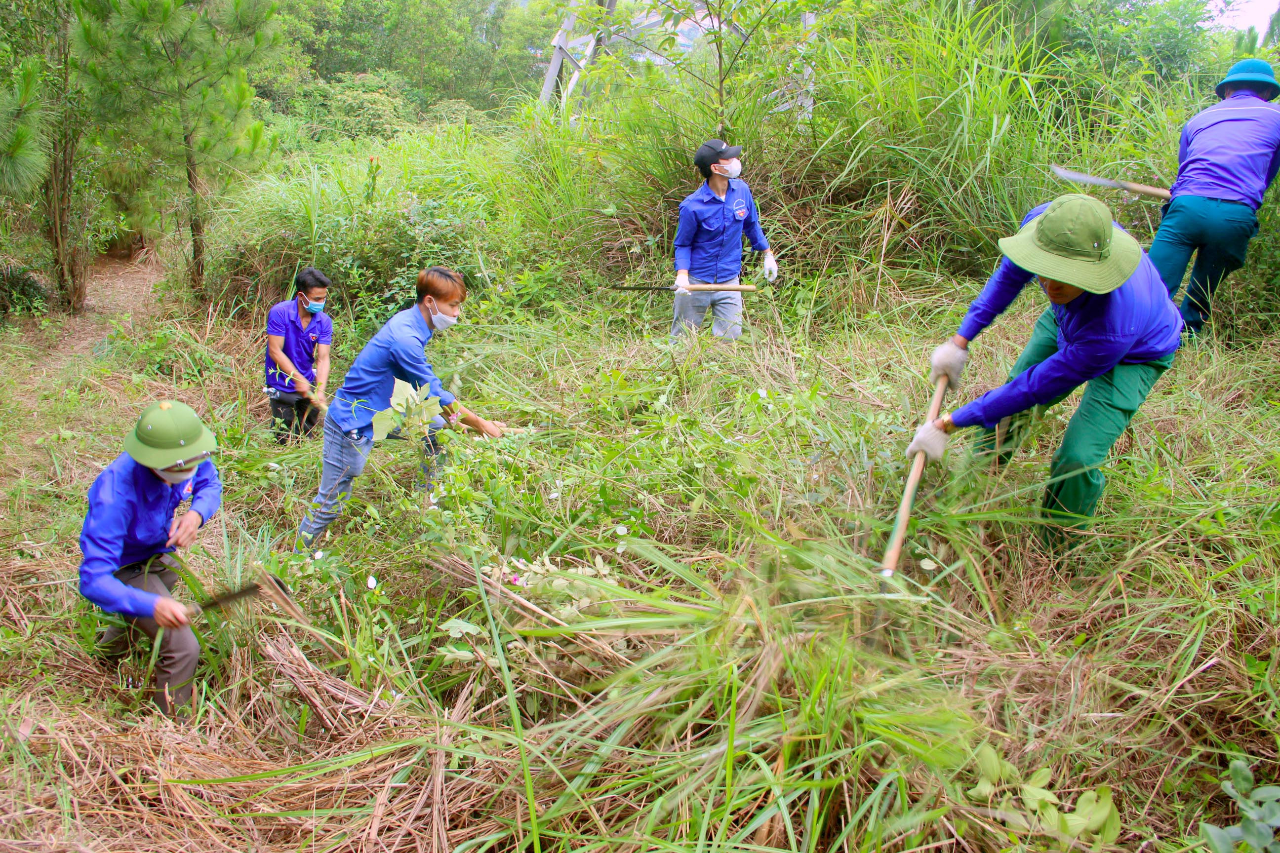 Đoàn viên thanh niên huyện Nghi Lộc tổ chức phát quang, thu dọn thực bì trước mùa nắng nóng, tuy nhiên diện tích chỉ chiếm tỷ lệ nhỏ. Ảnh: Quang An