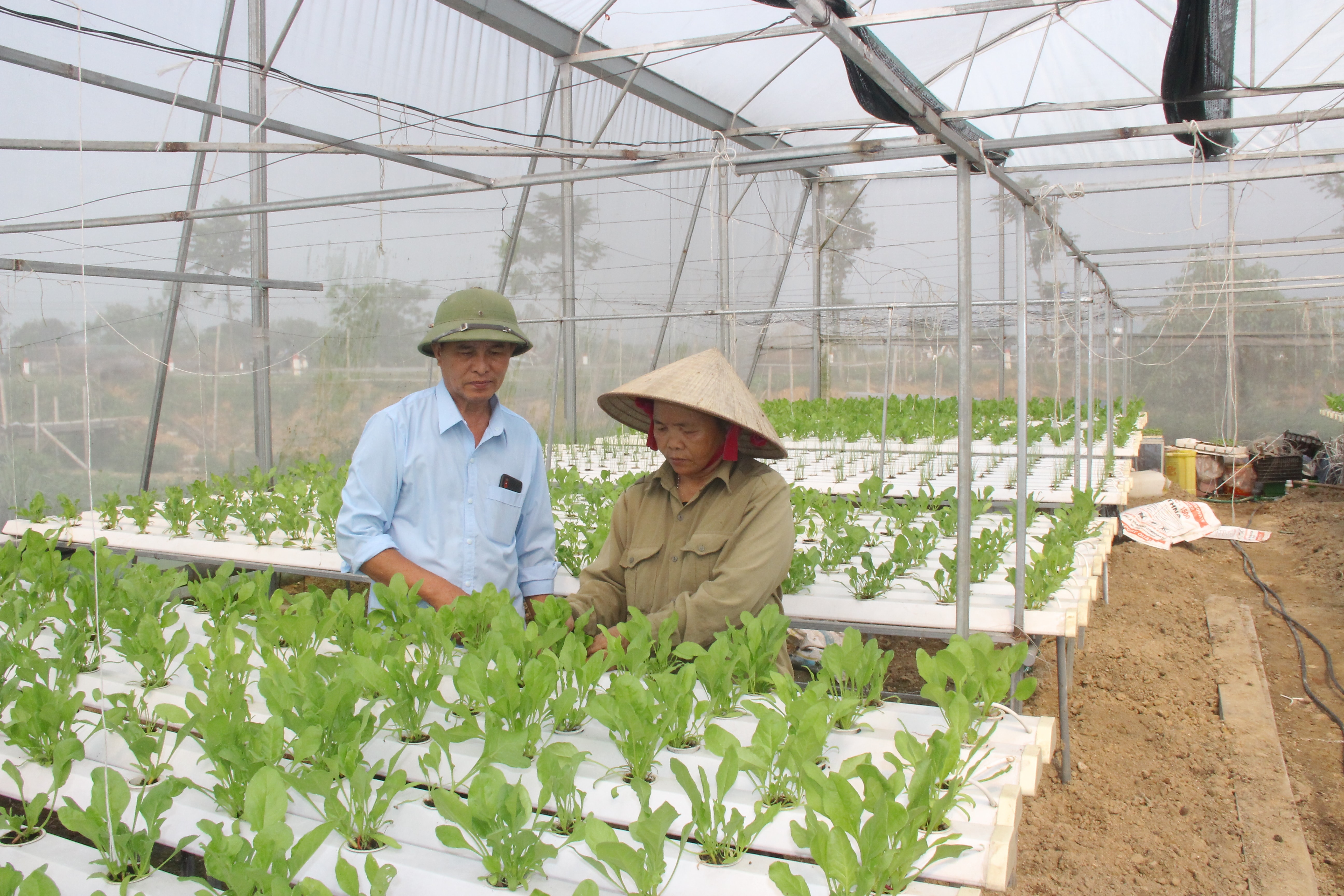 Huyện Nam Đàn ưu tiên phát triển nông nghiệp công nghệ cao, nông nghiệp sạch. Ảnh: Mai Hoa