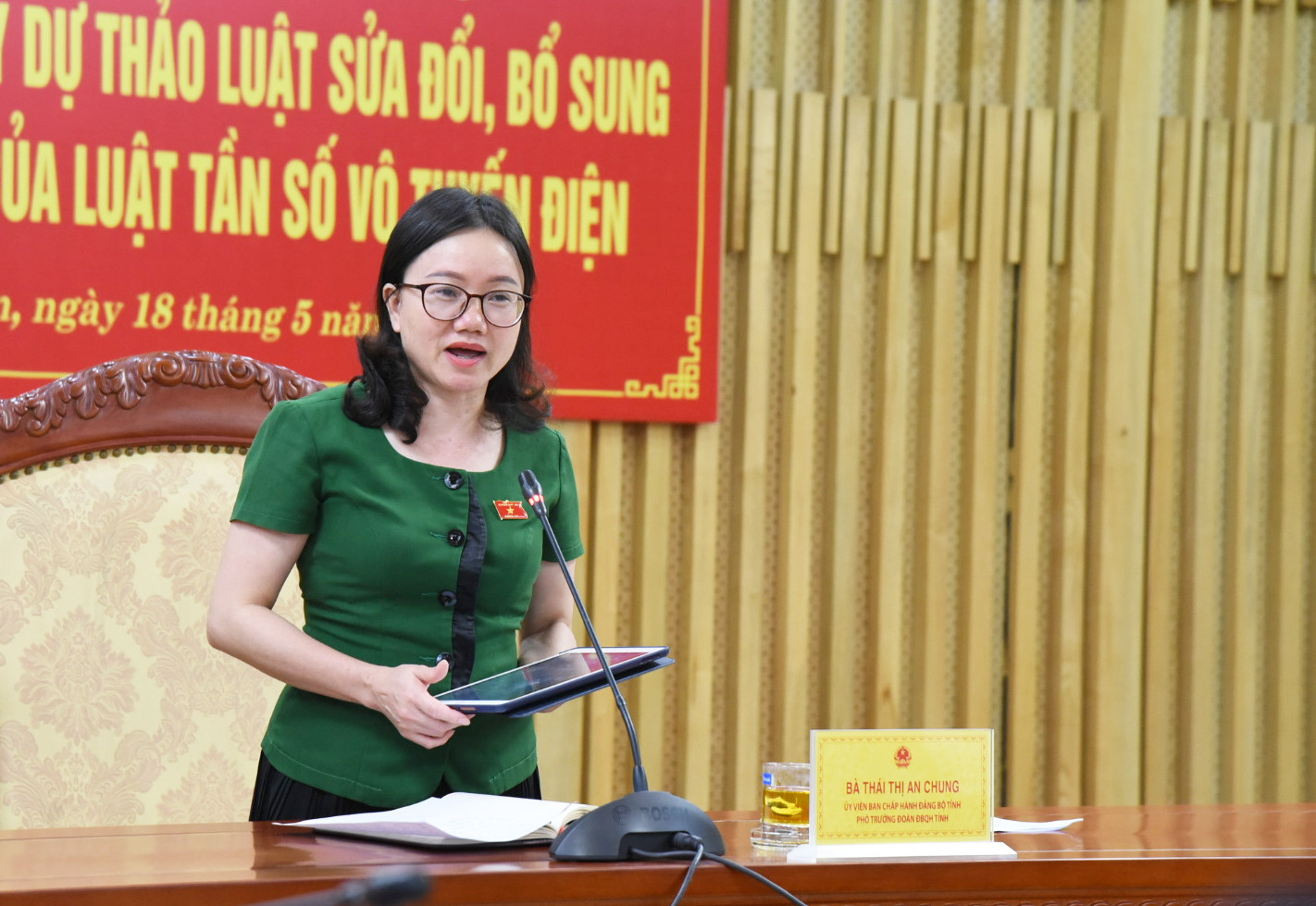 Bà Thái Thị An Chung - Ủy viên BCH Đảng bộ tỉnh, Phó trưởng Đoàn đại biểu Quốc hội tỉnh chủ trì hội nghị. Ảnh: TG