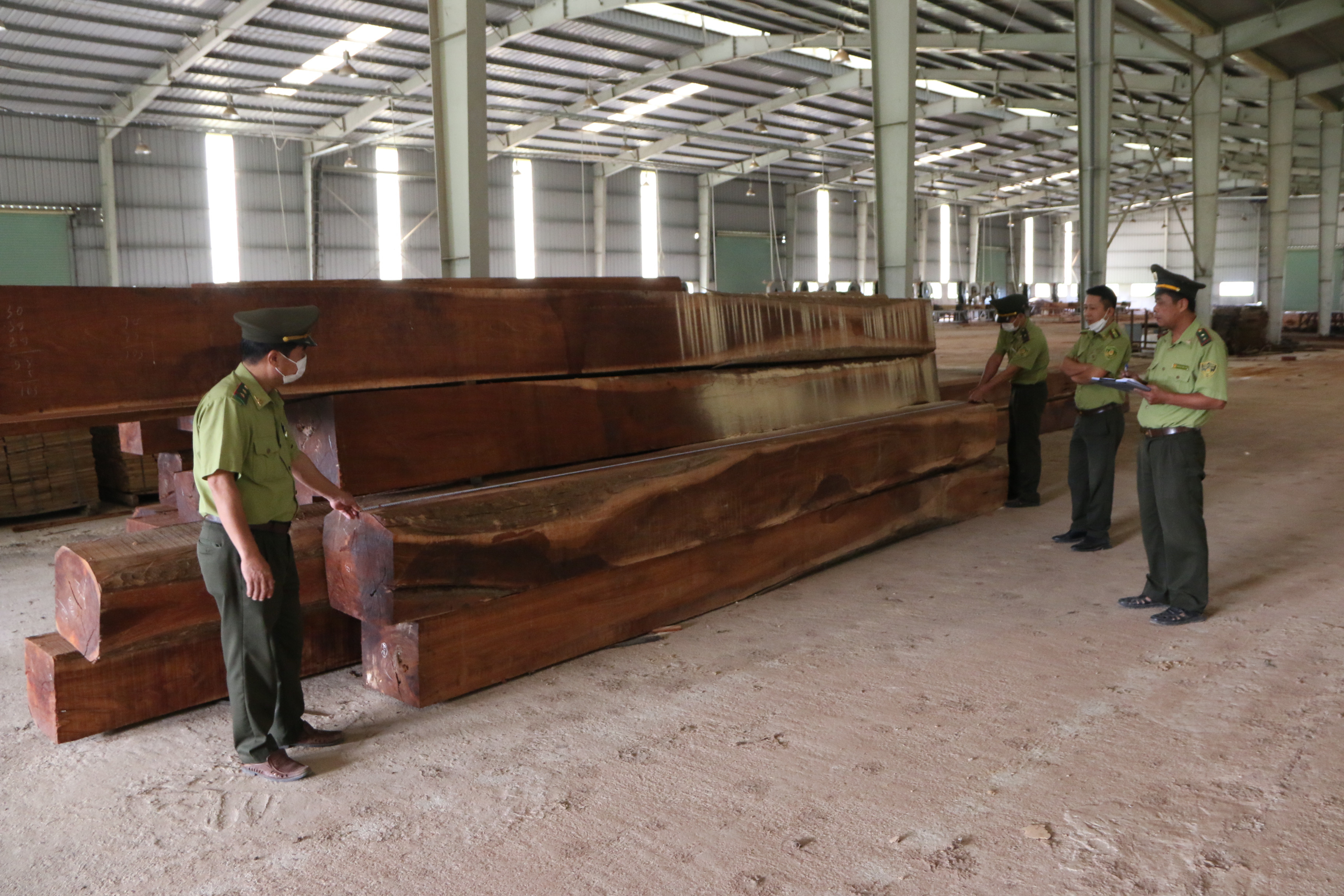 Lực lượng chức năng kiểm tra số gỗ được tập kết tại nhà xưởng của dự án này. Ảnh: Tiến Đông 
