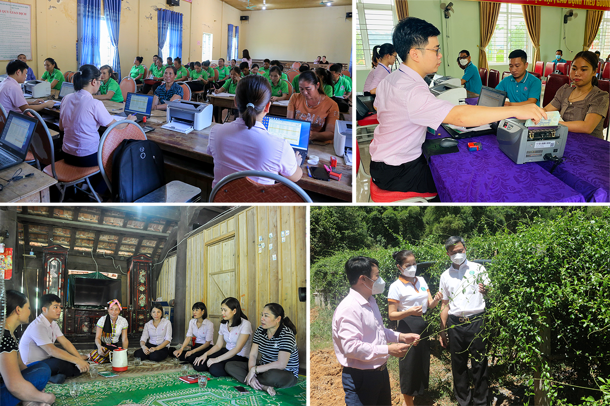 Ngân hàng CSXH Con Cuông giải ngân tại xã Thạch Ngàn; Ngân hàng CSXH Quỳ Châu giải ngân cho hộ vay tại xã Châu Tiến; Cán bộ Ngân hàng CSXH Quỳ Hợp thăm gia đình chị Vi Thị Đào (xóm Thái Quang, xã Châu Thái) - hộ vay vốn hiệu quả; Cán bộ Ngân hàng Chính sách xã hội huyện Con Cuông thăm vùng nguyên liệu của doanh nghiệp.