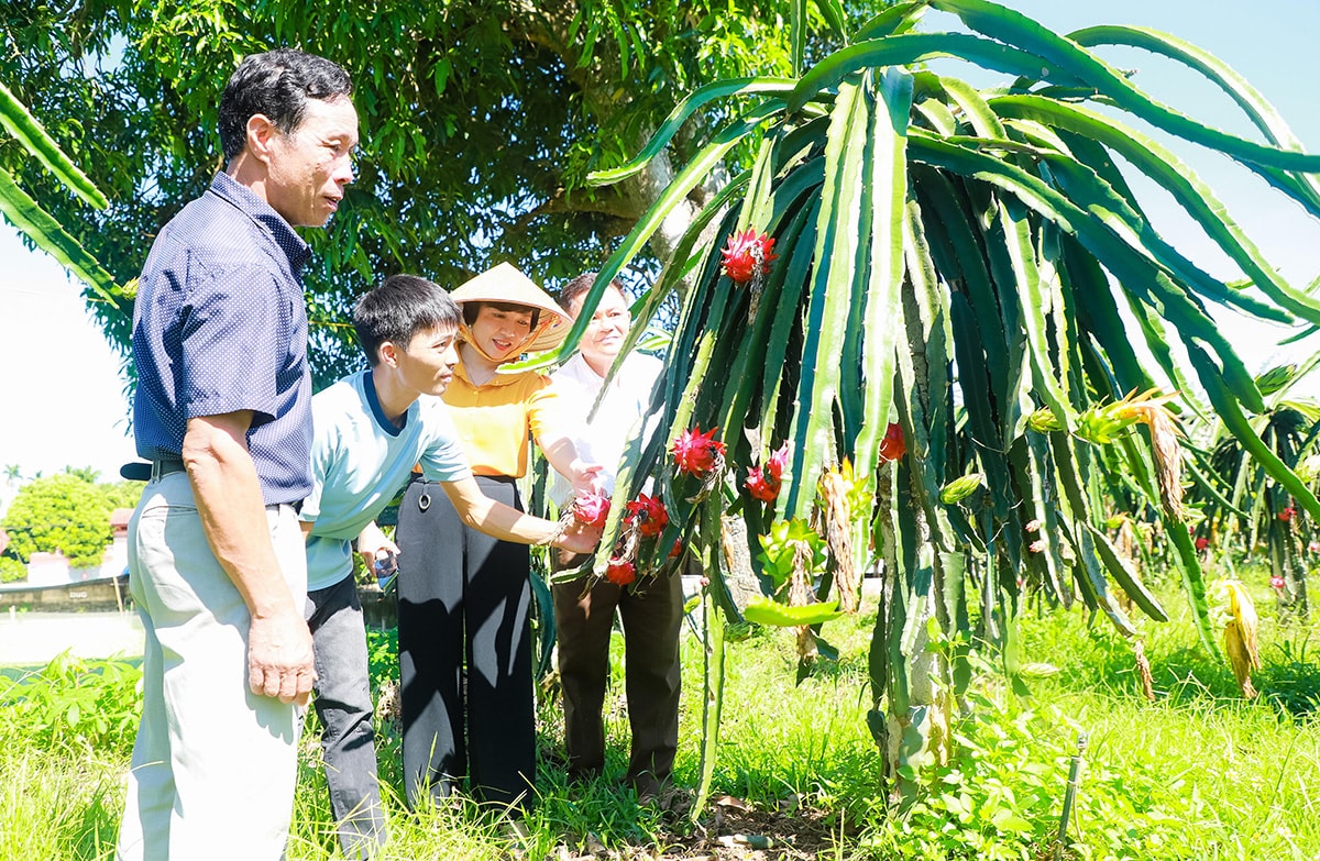 Lãnh đạo Ủy ban MTTQ huyện Đô Lương trao đổi với anh Nguyễn Văn Việt, xã Trung Sơn về mô hình kinh tế giúp thoát nghèo bền vững.