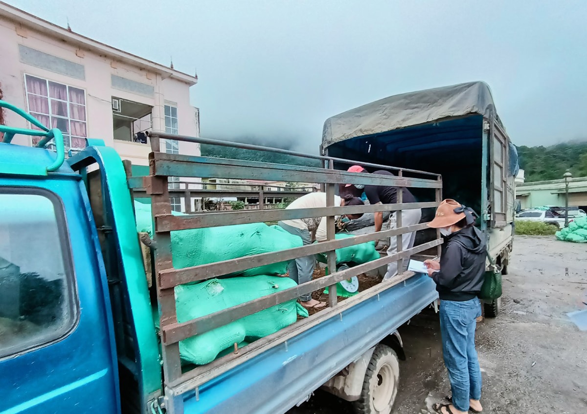 Nông sản Lào vào Việt Nam qua Cửa khẩu Quốc tế Nậm Cắn.